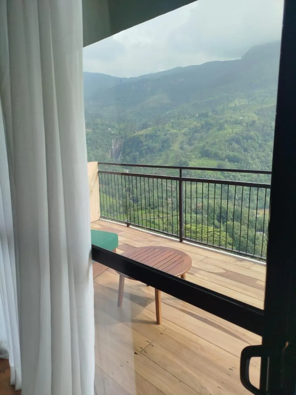 View (from property/room) in Oak Ray Tea Bush