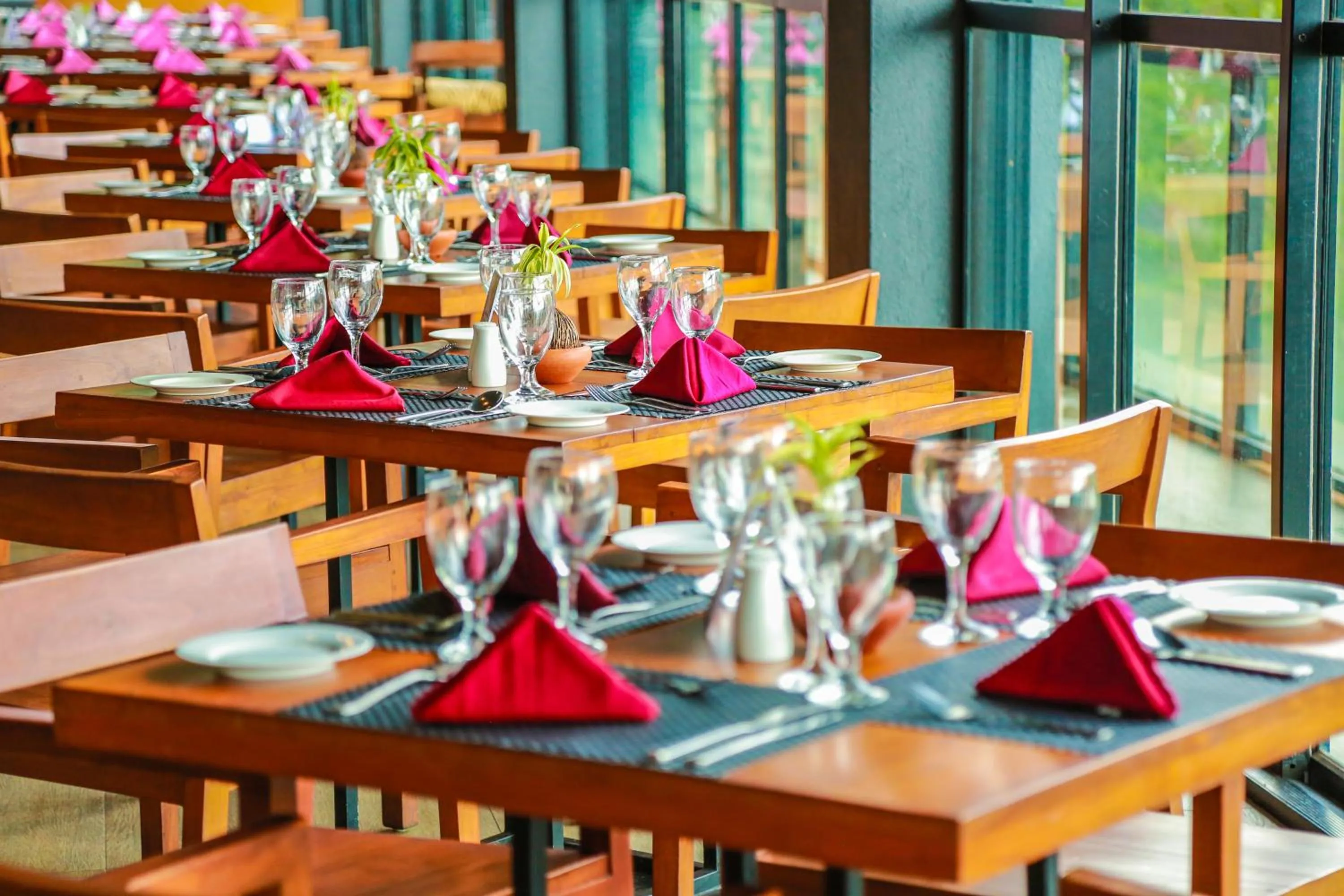 Restaurant/places to eat in Oak Ray Tea Bush