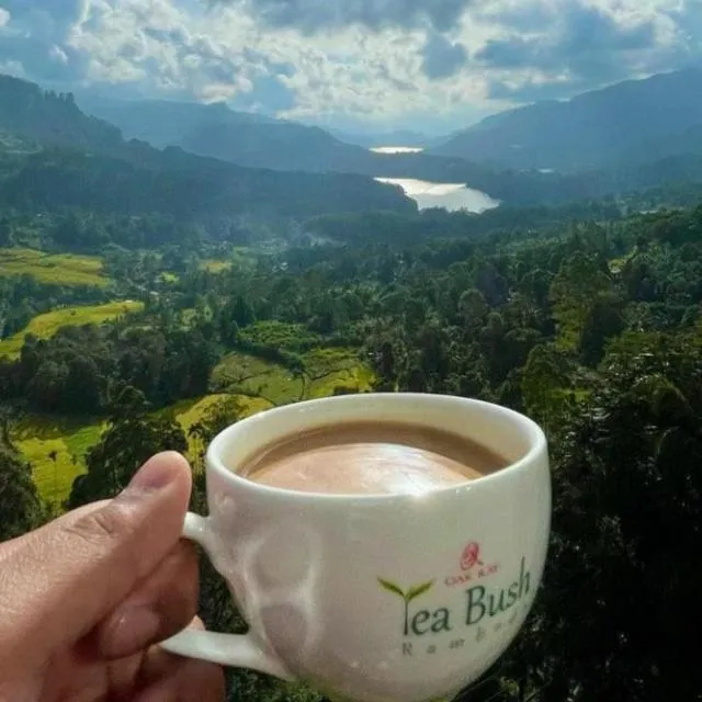 Nearby landmark in Oak Ray Tea Bush