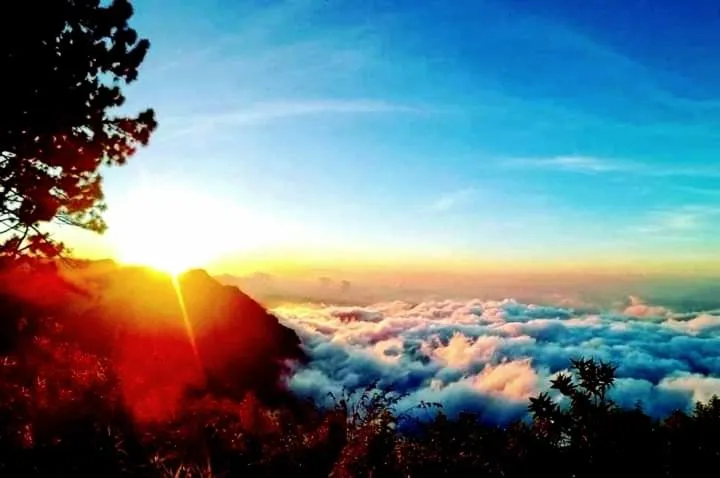 Bel View Guest House