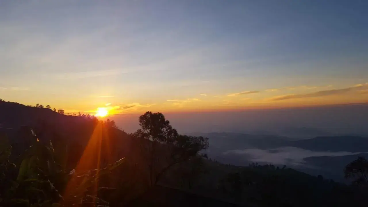 Standard Double or Twin Room - single occupancy in Bel View Guest House Standard Double or Twin Room - single occupancy in Bel View Guest House