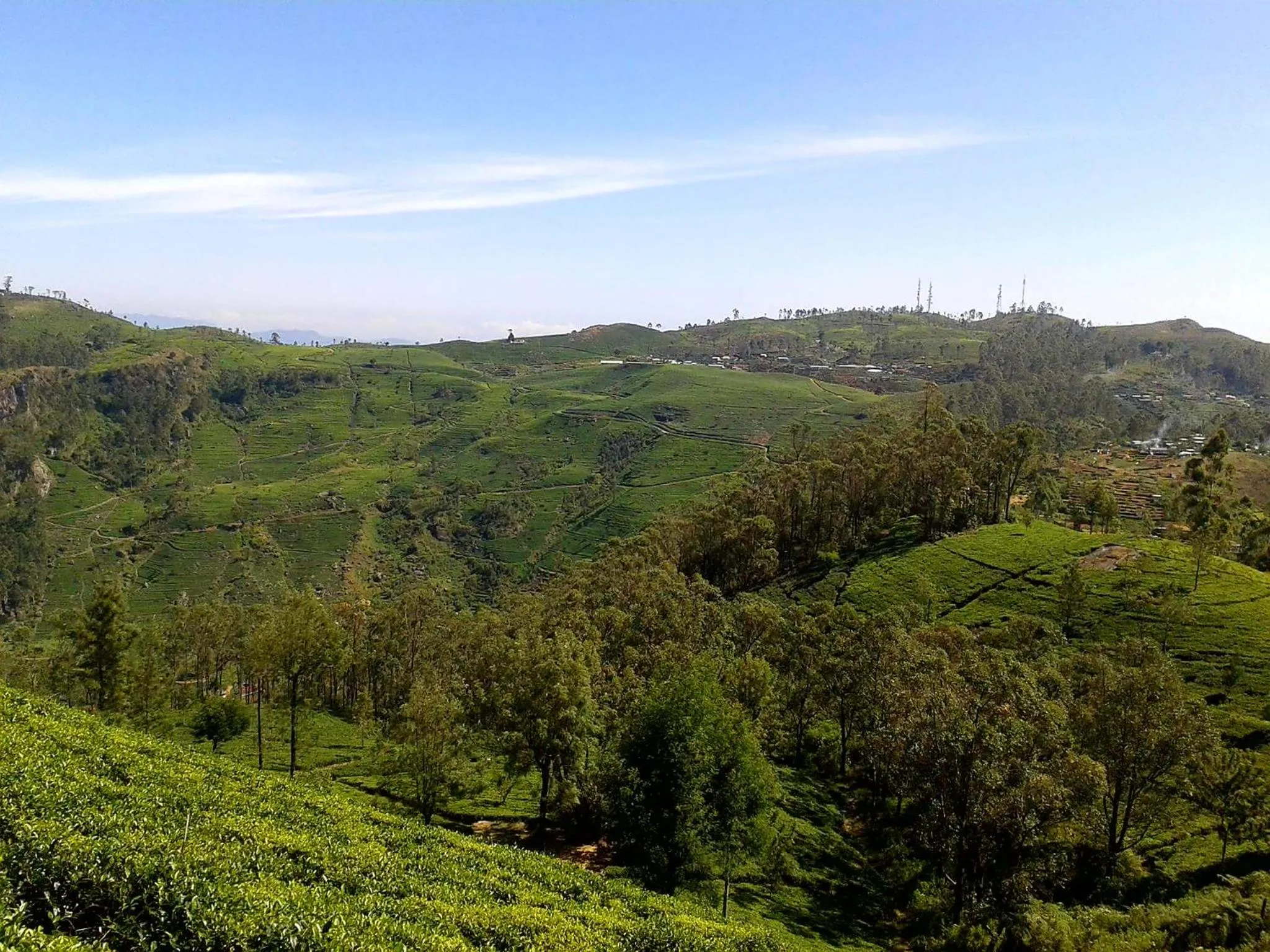 Bel View Guest House