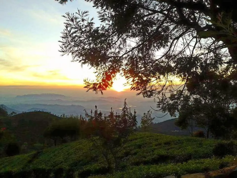 Bel View Guest House