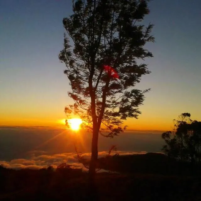 Bel View Guest House