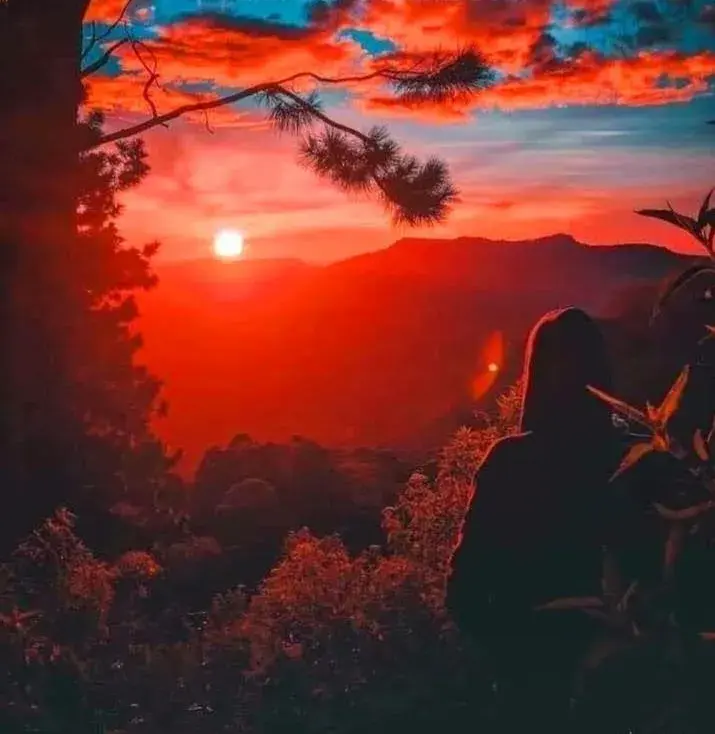 Bel View Guest House Bel View Guest House