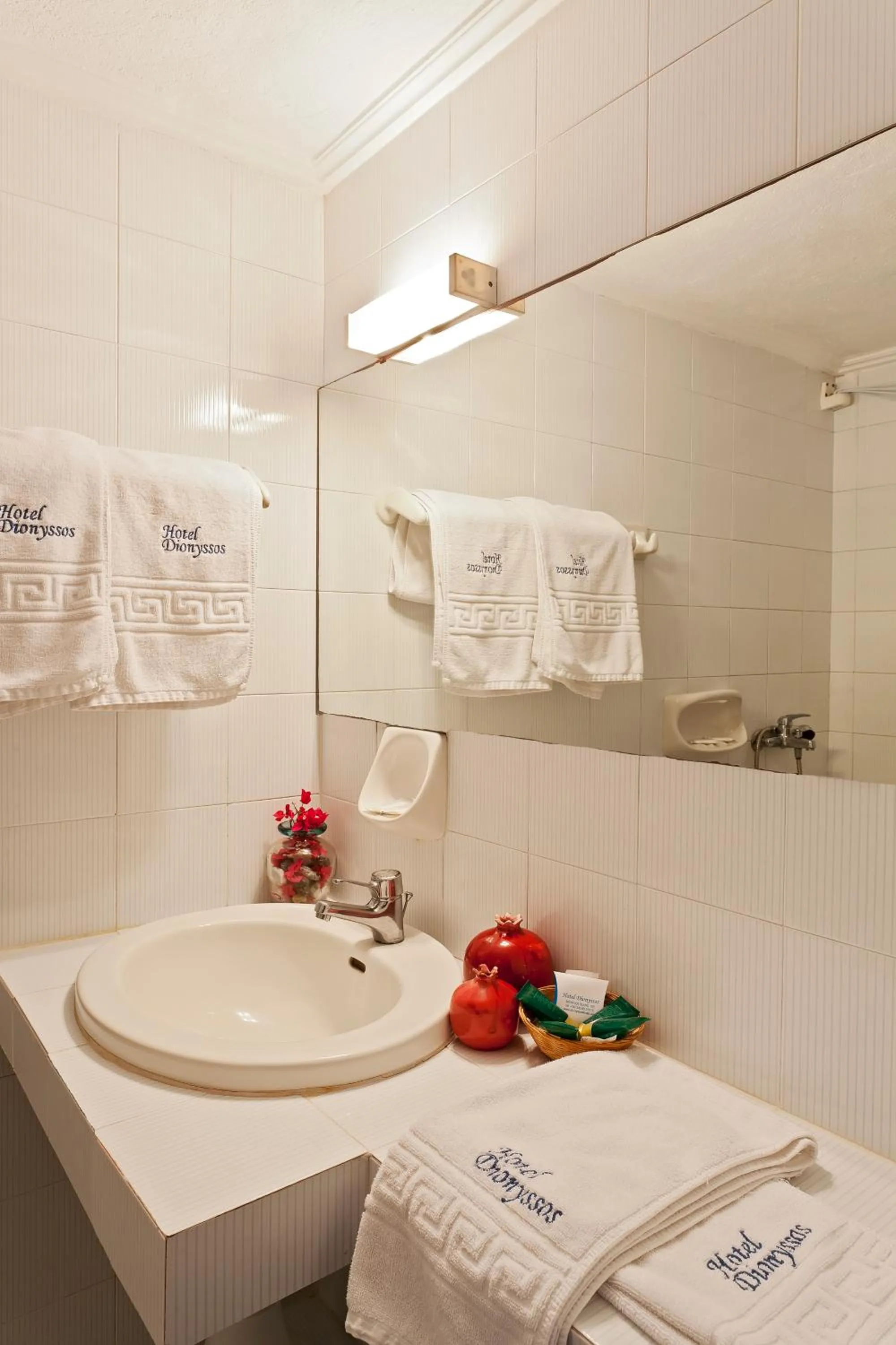 Property building in Hotel Dionyssos