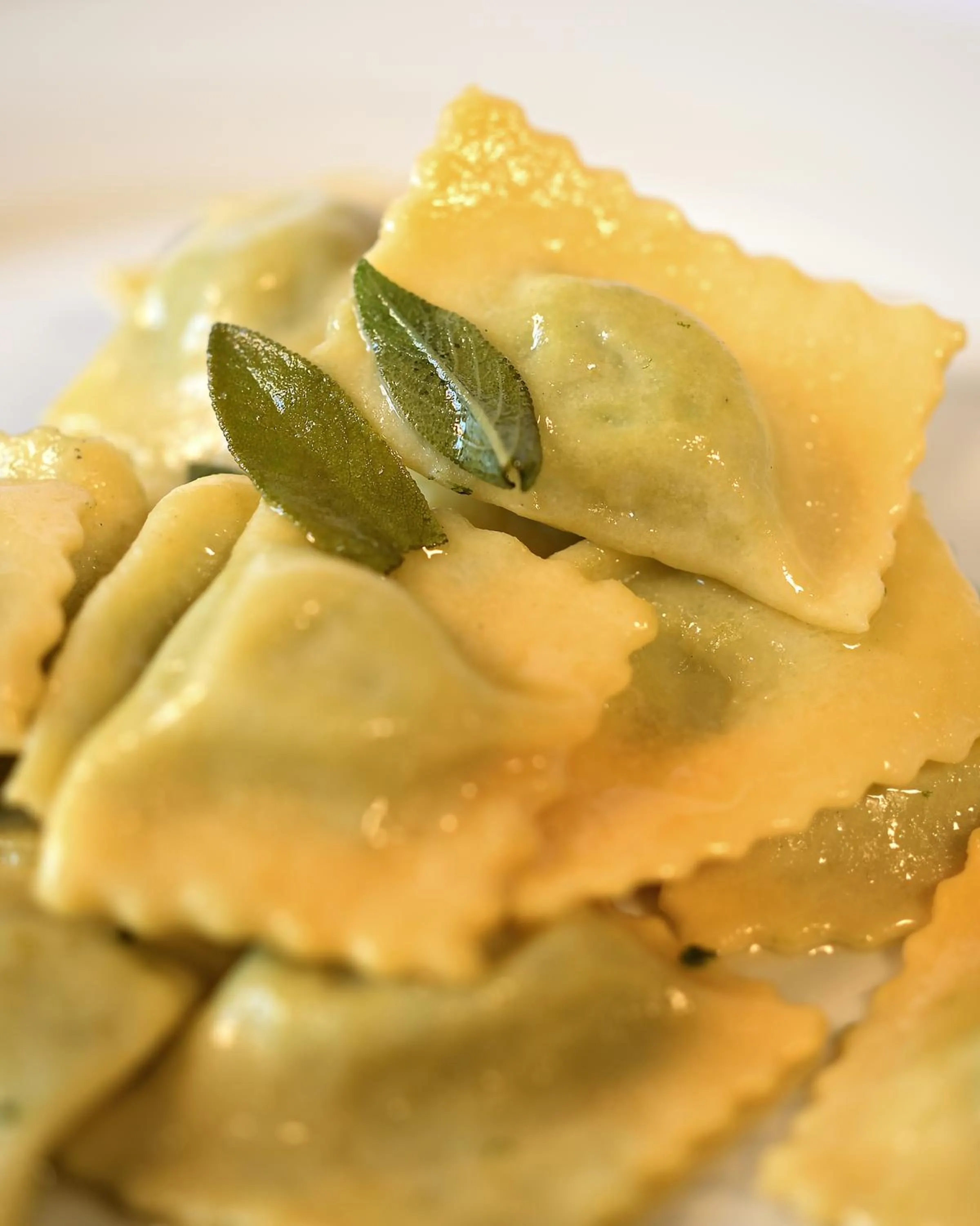 Restaurant/places to eat in Hotel Piccola Firenze