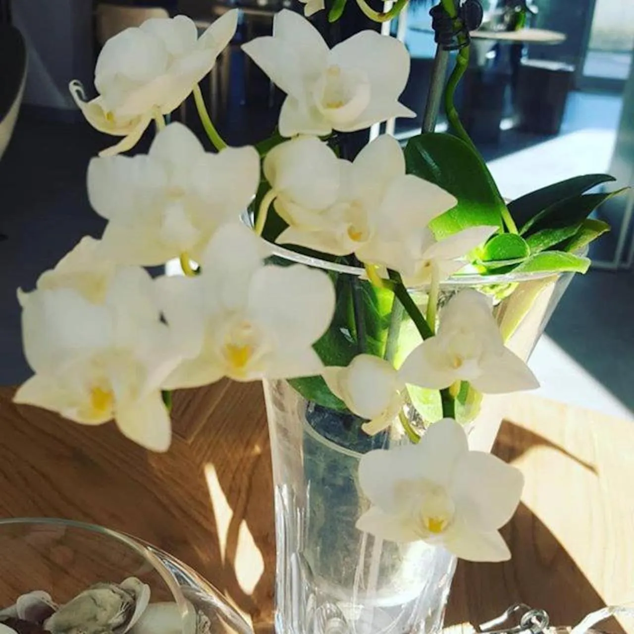 Decorative detail in Hotel Villa Barsanti