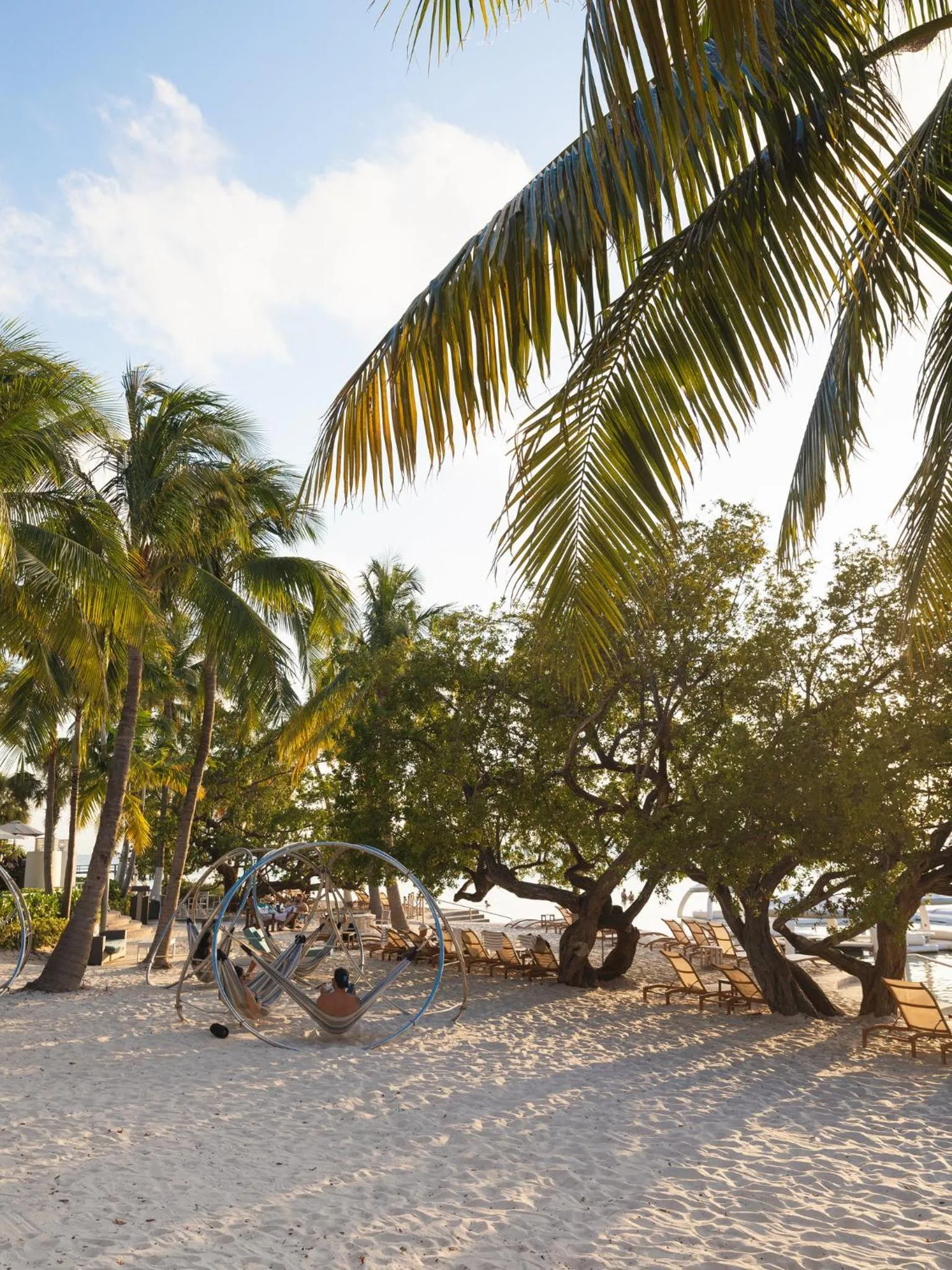 Restaurant/places to eat in Playa Largo Resort & Spa, Autograph Collection