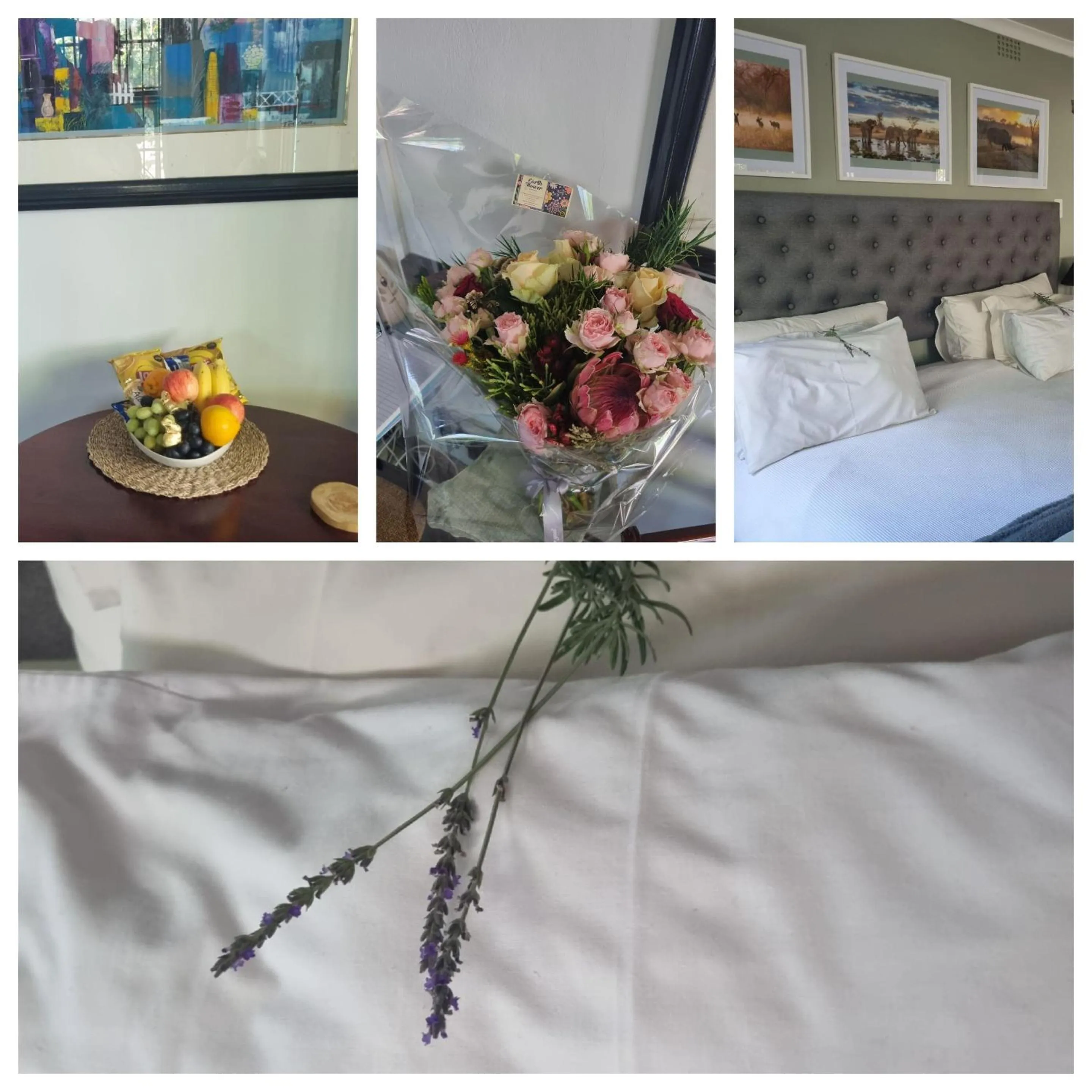 Bed in By Appointment Suites