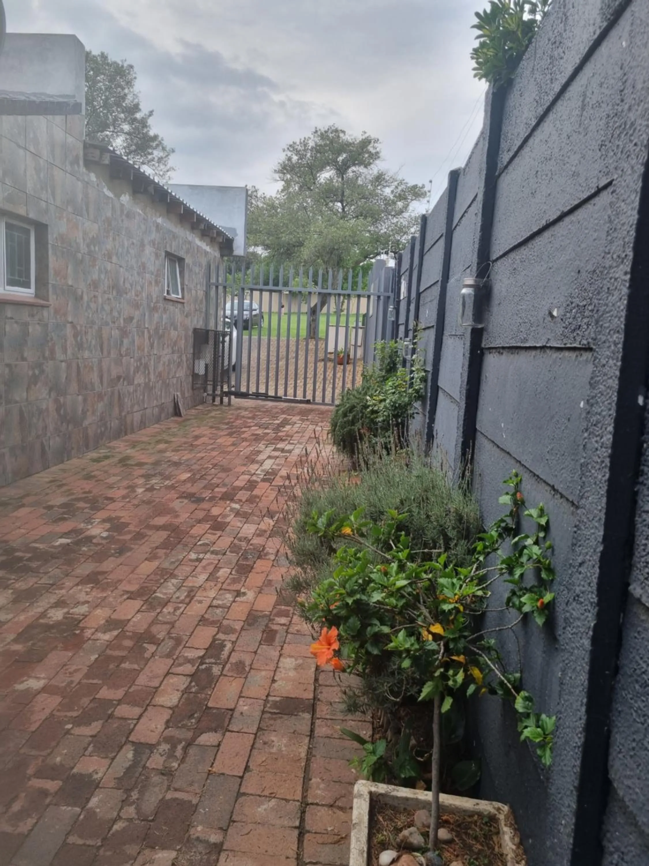 Quiet street view in By Appointment Suites