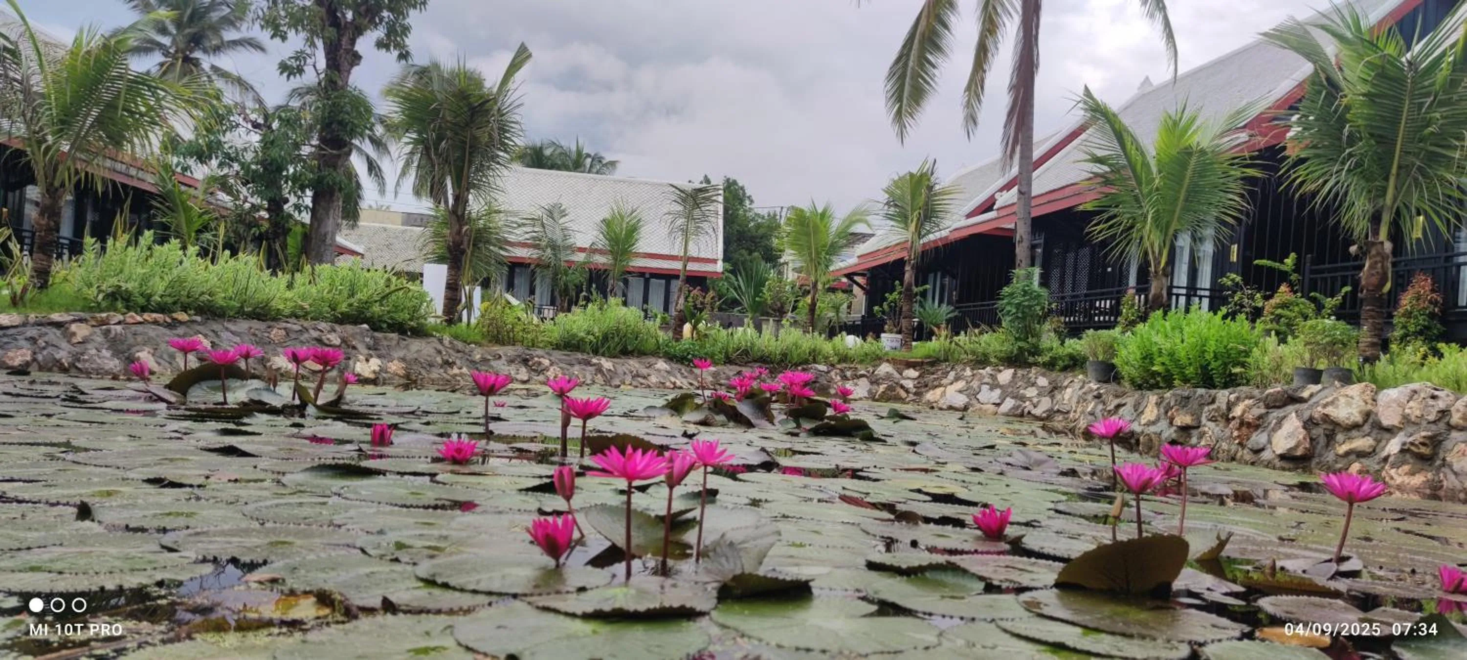 Mimosa Luangprabang Garden
