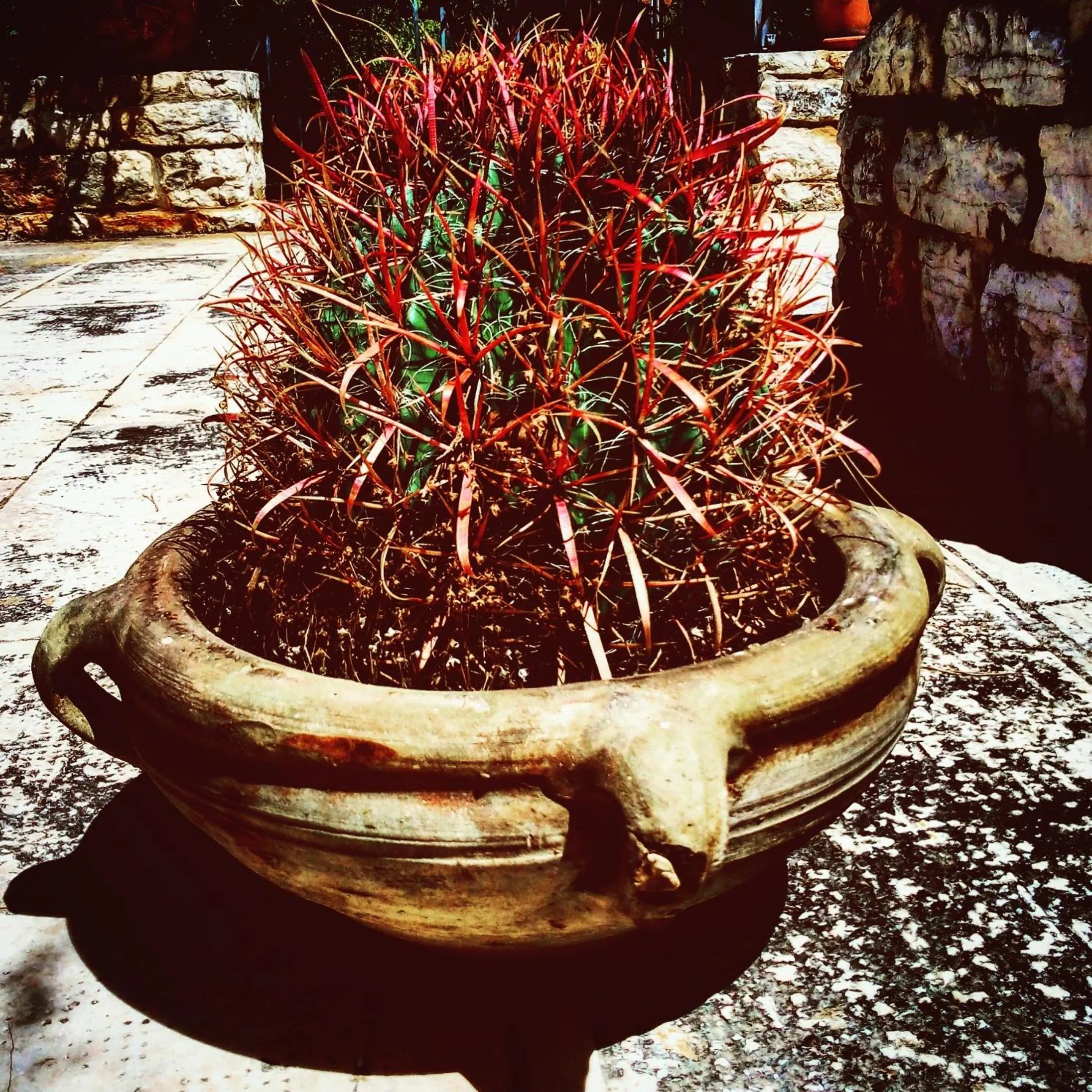 Other in Poggio di mare