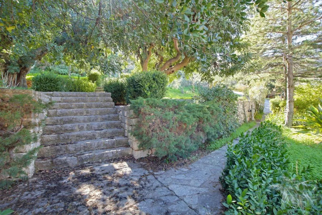 Natural landscape in Poggio di mare