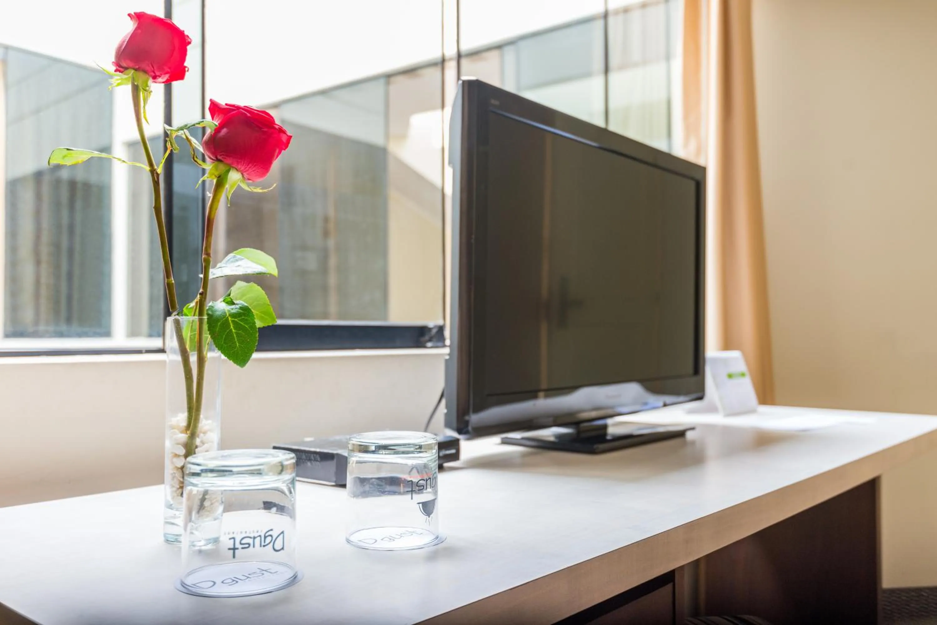 TV and multimedia in Palmetto Hotel Business La Perla