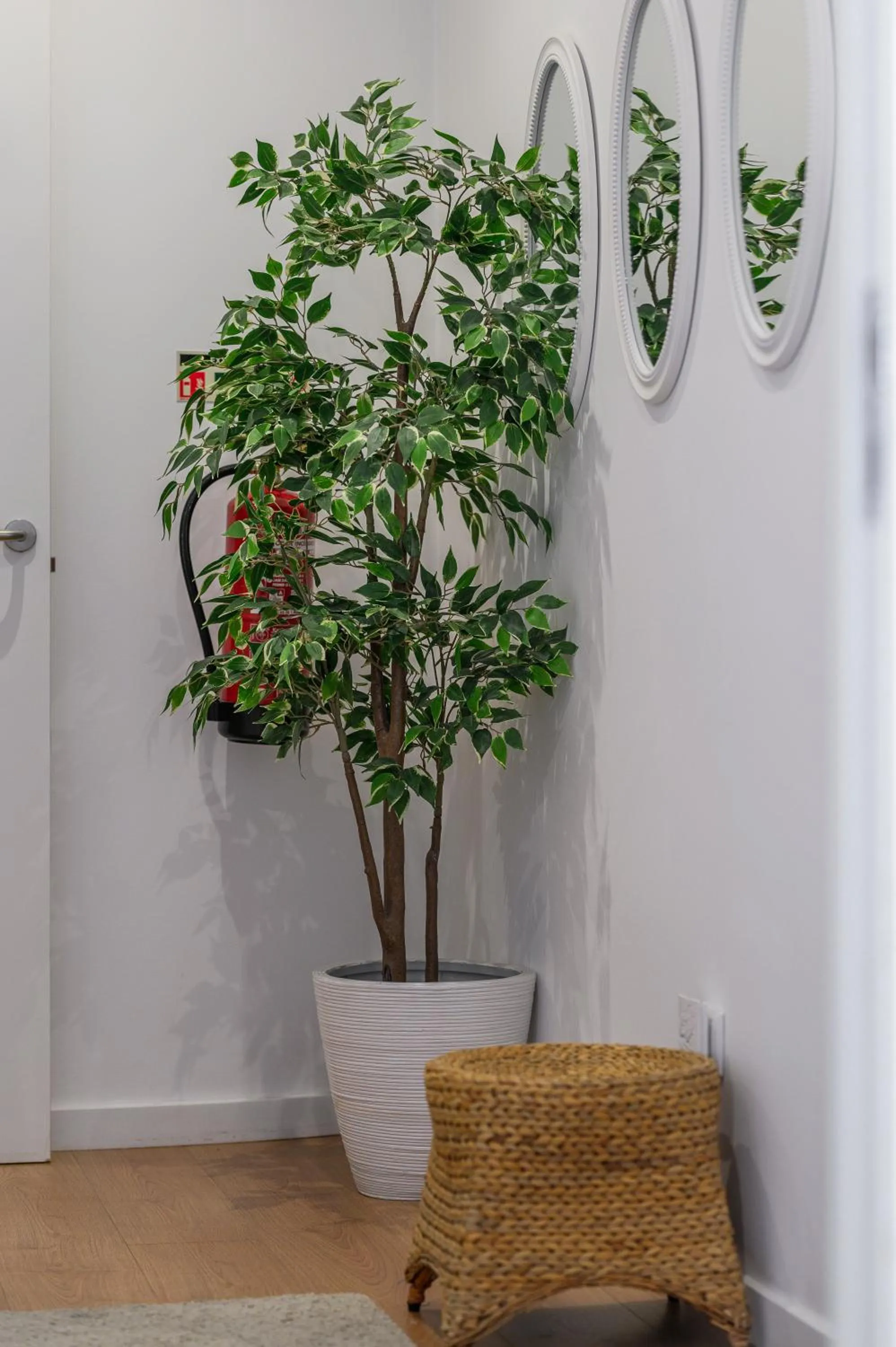 Decorative detail in Casa das Hortênsias - Charming Guest House