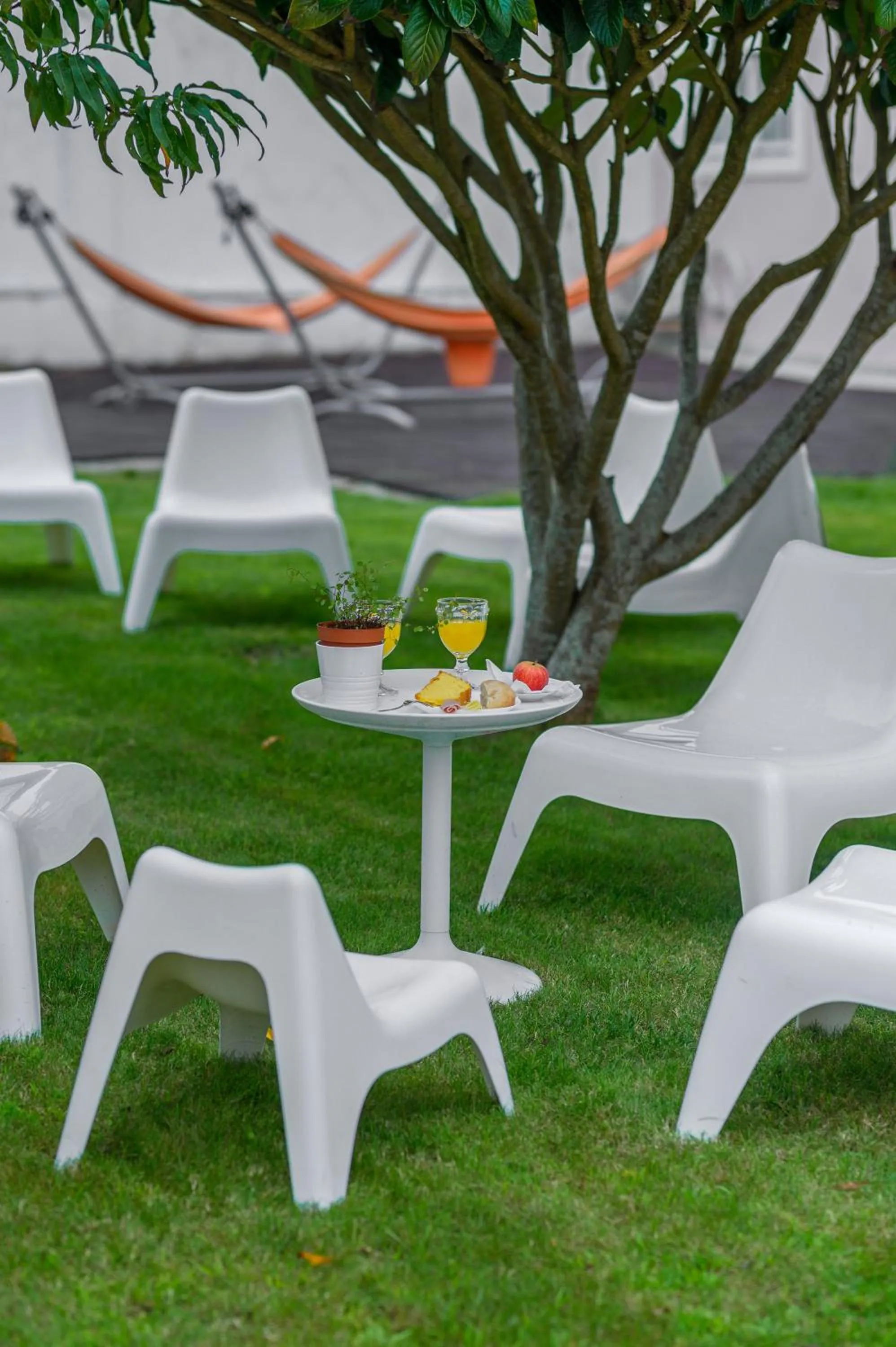 Garden view in Casa das Hortênsias - Charming Guest House