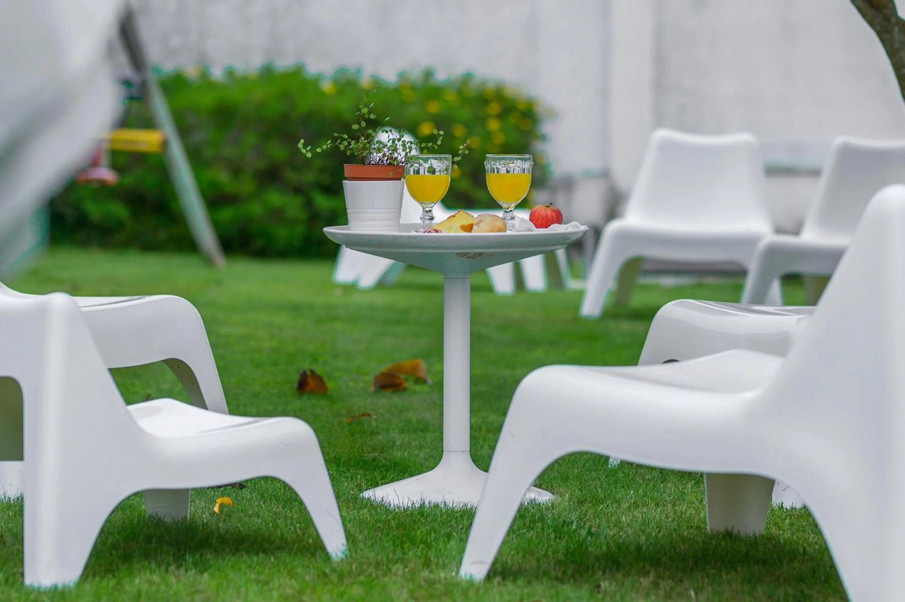 Garden in Casa das Hortênsias - Charming Guest House