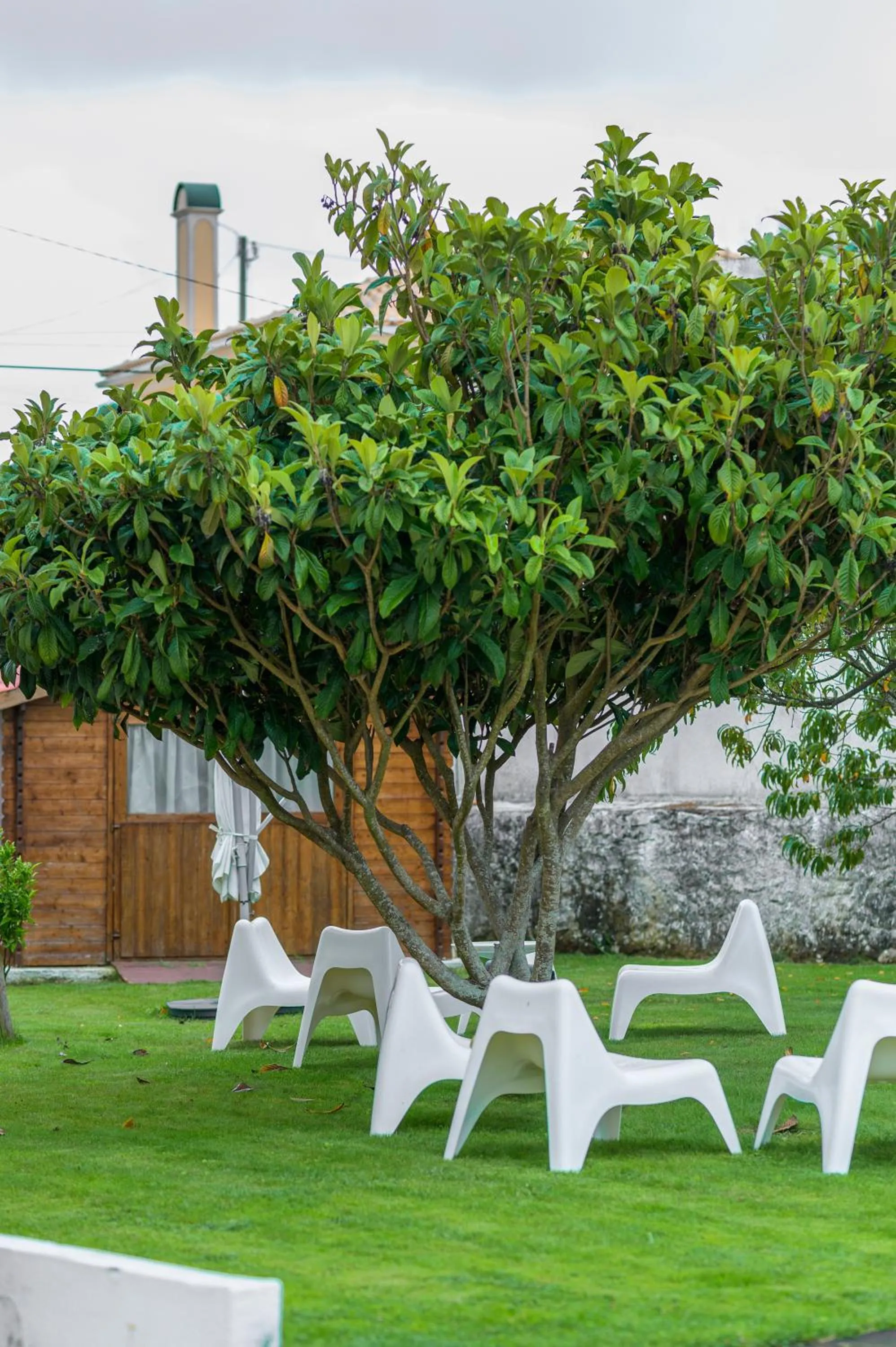 Garden in Casa das Hortênsias - Charming Guest House