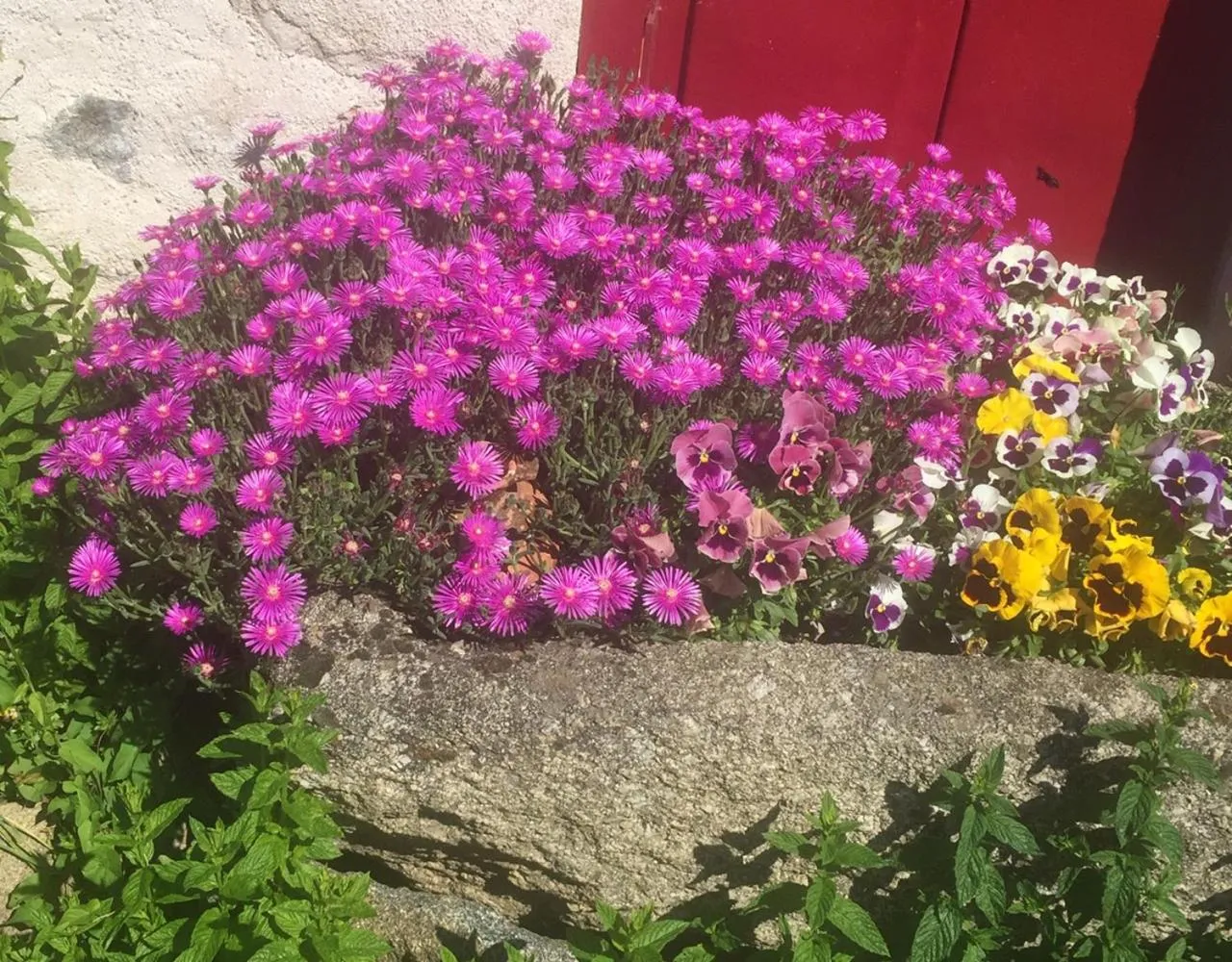 Garden in Les Maitres Sonneurs