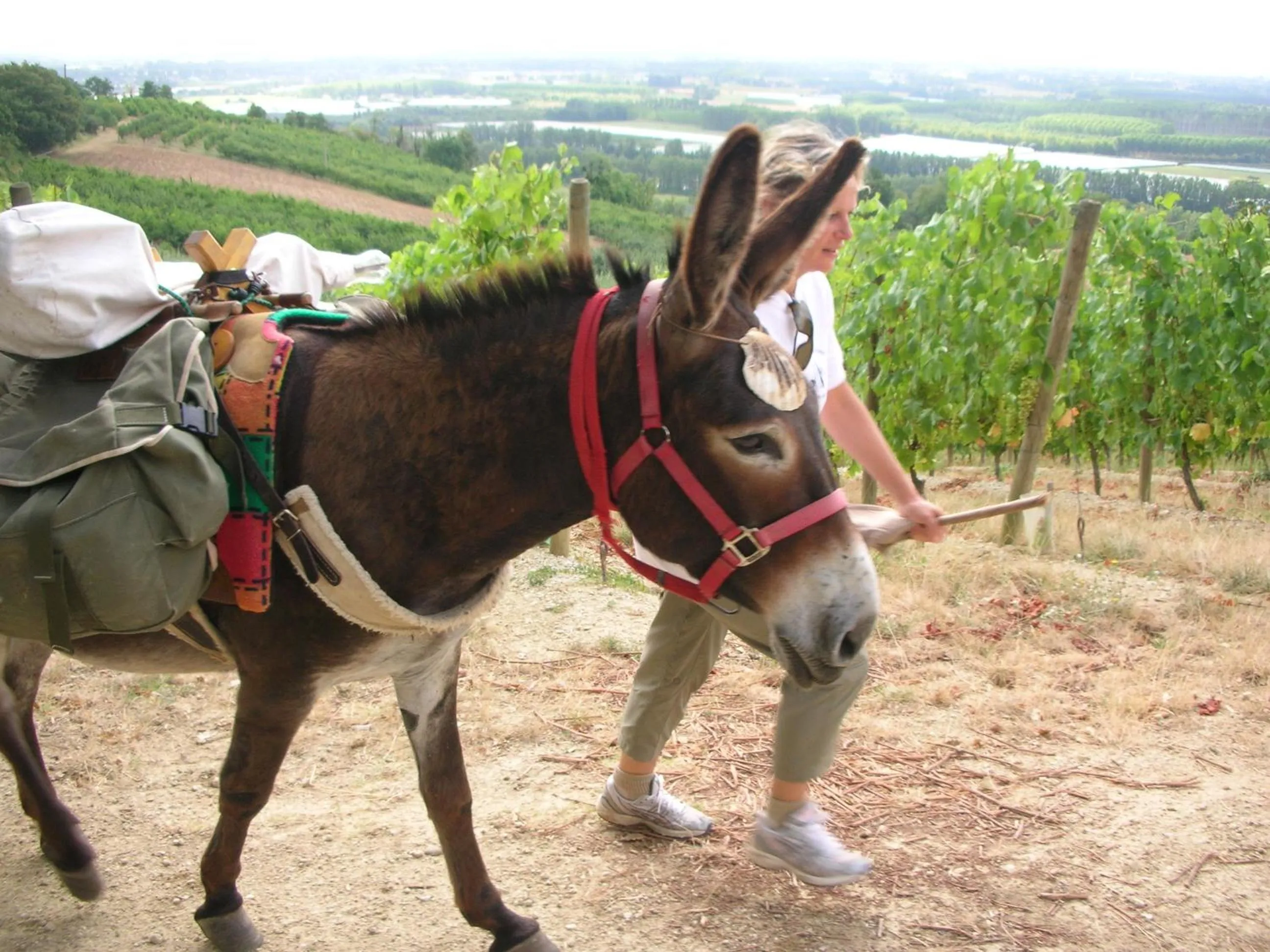 People in Les Maitres Sonneurs