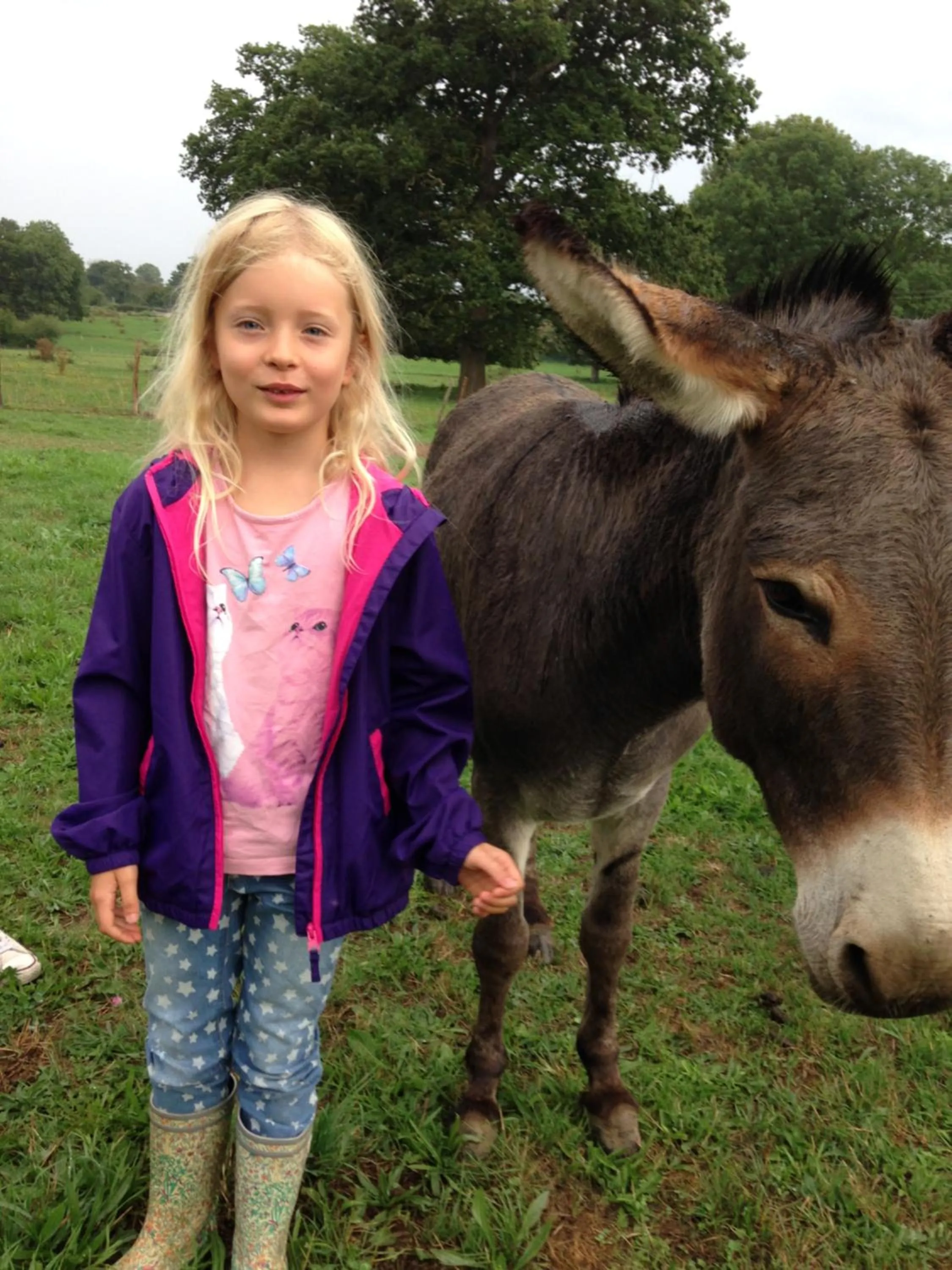Pets in Les Maitres Sonneurs