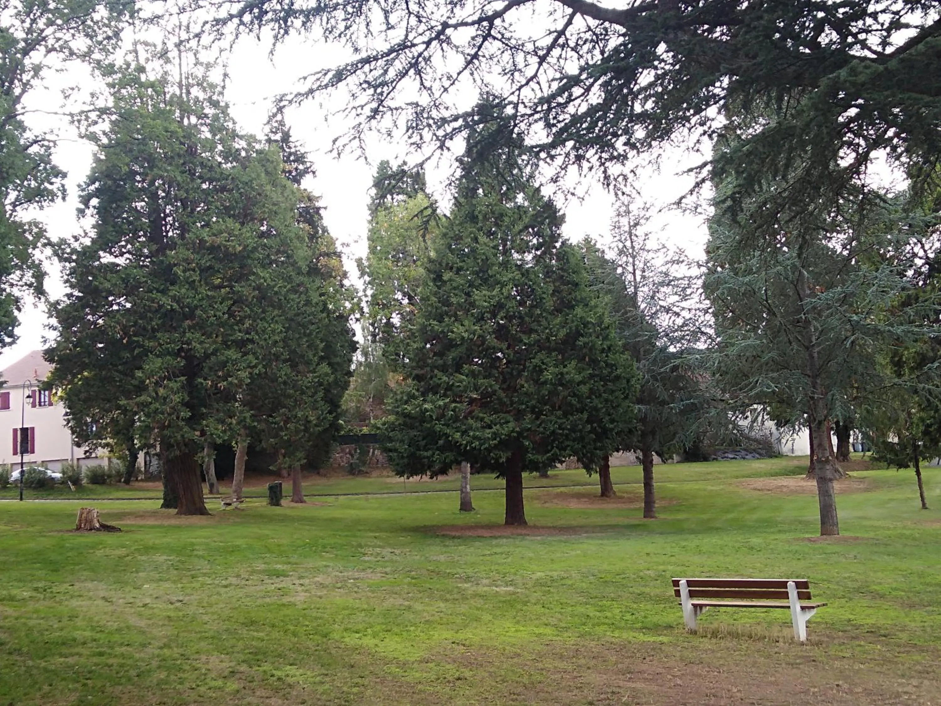 Off site in Les Maitres Sonneurs