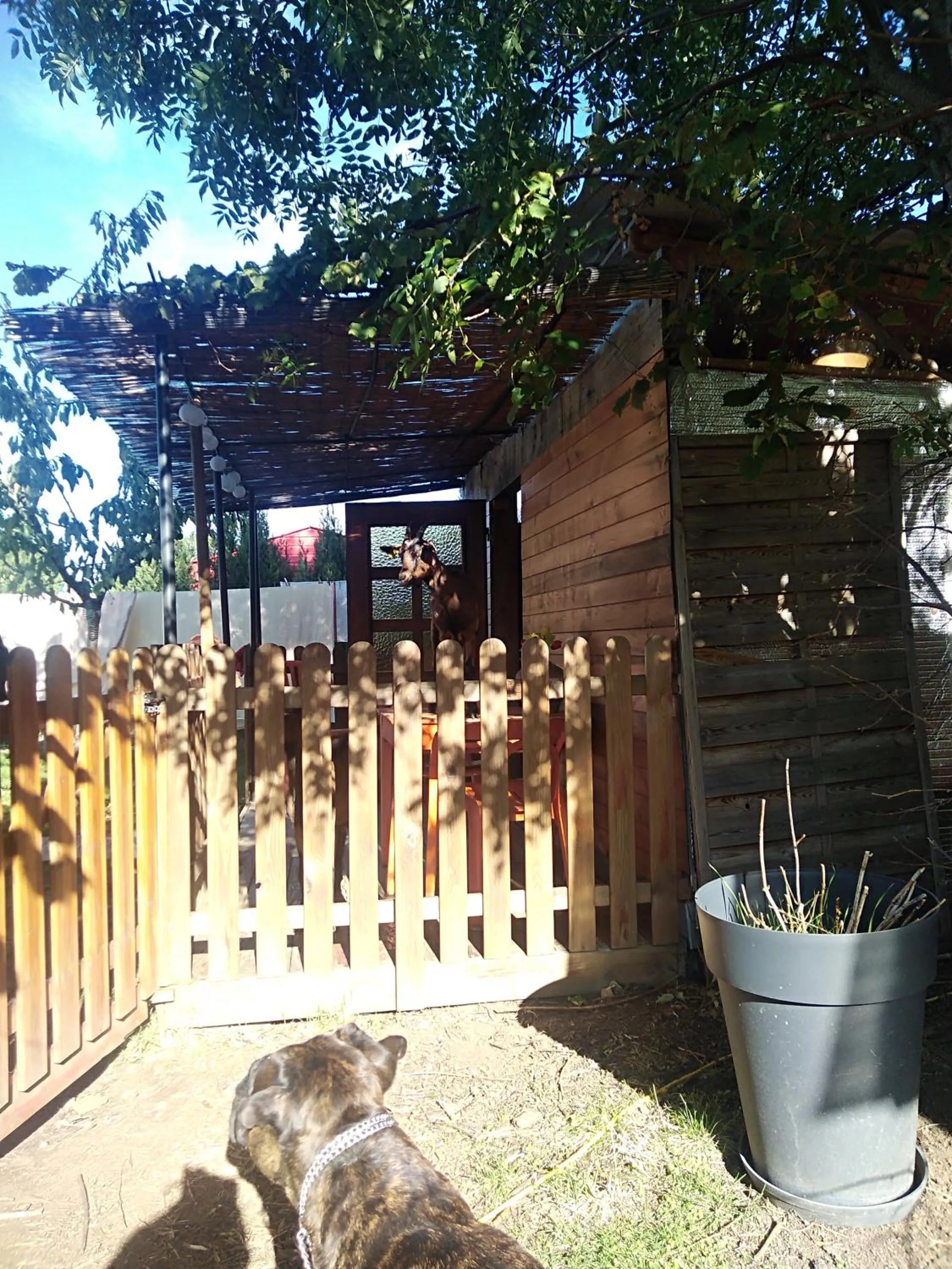 Facade/entrance in Les Maitres Sonneurs