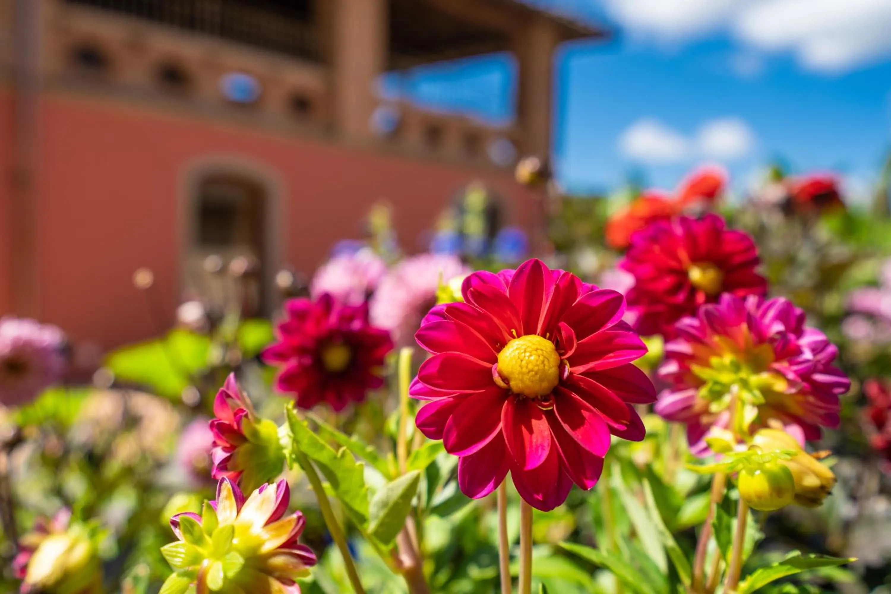 Patio in Villa Campomaggio Resort & SPA