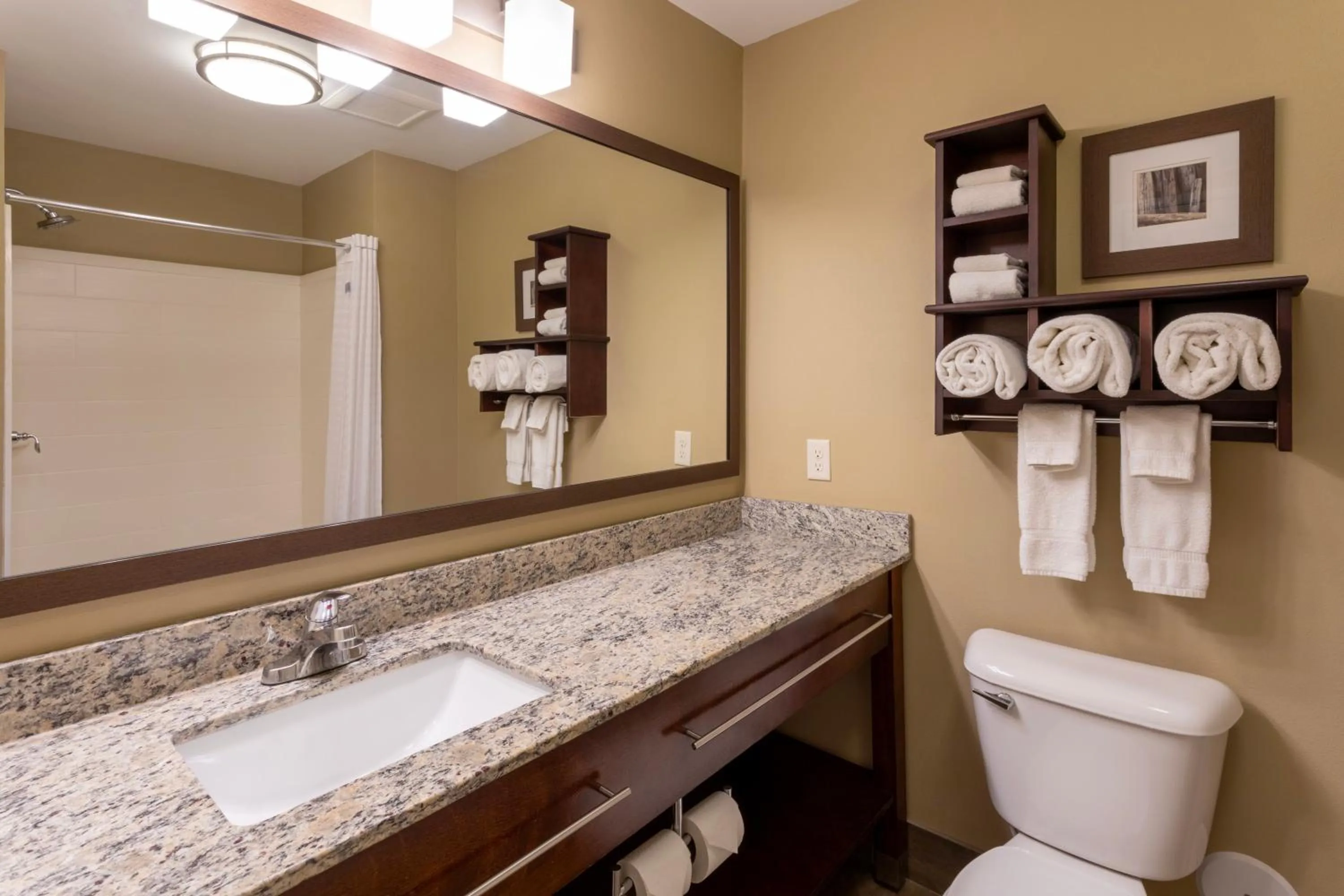 Toilet in GrandStay Hotel & Suites - Morris