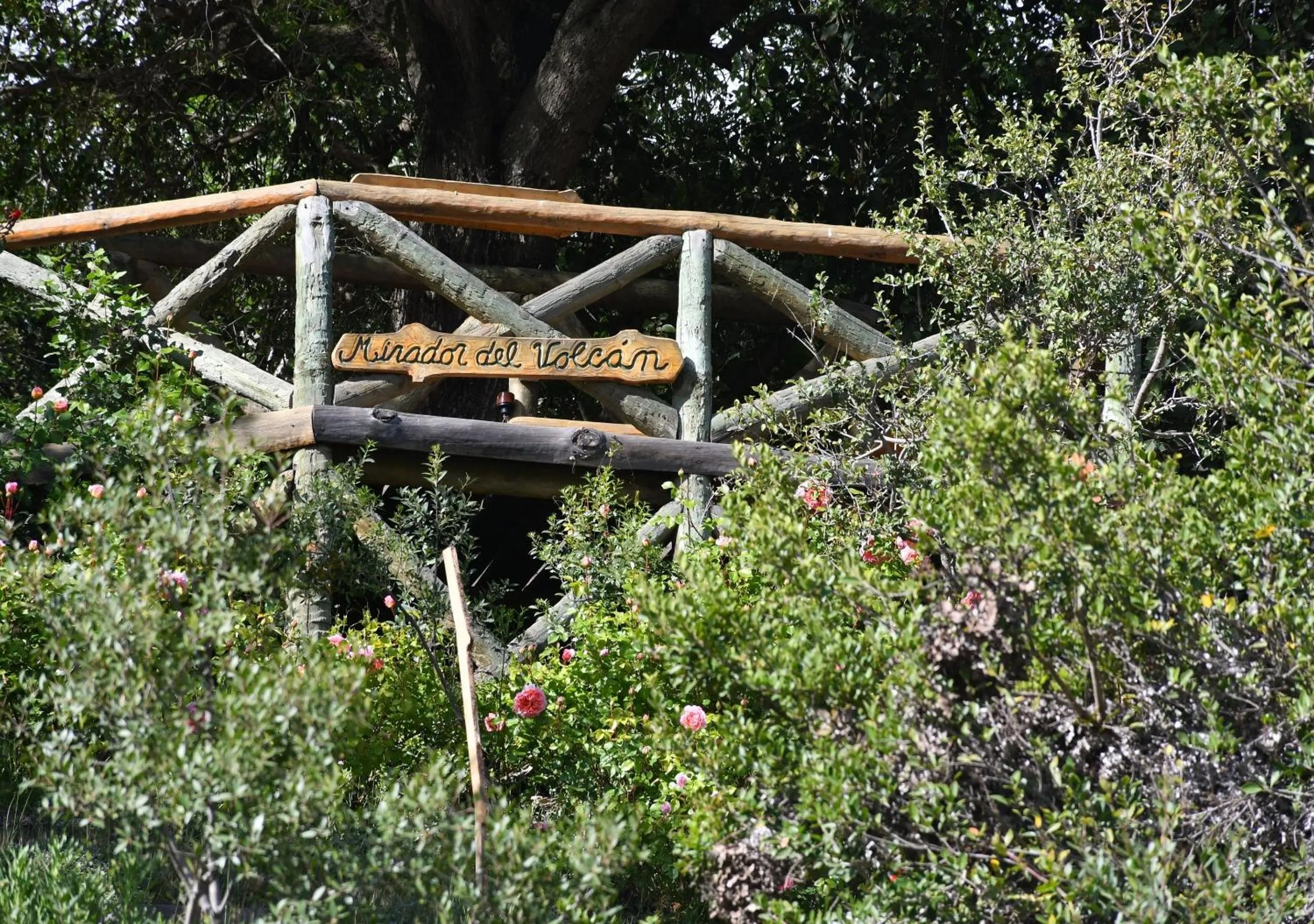 Balcony/Terrace in Aparts La Balconada by DOT Suites