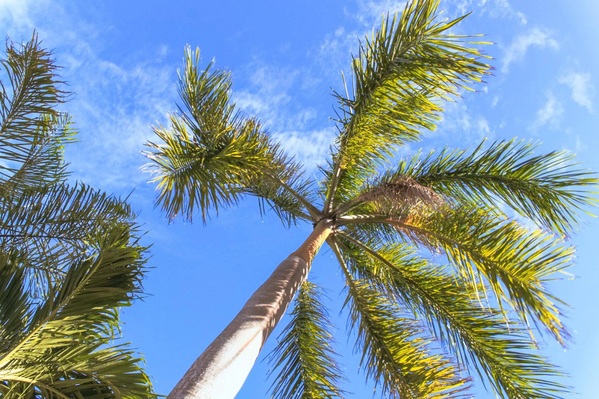 The Waterfront Beach Resort