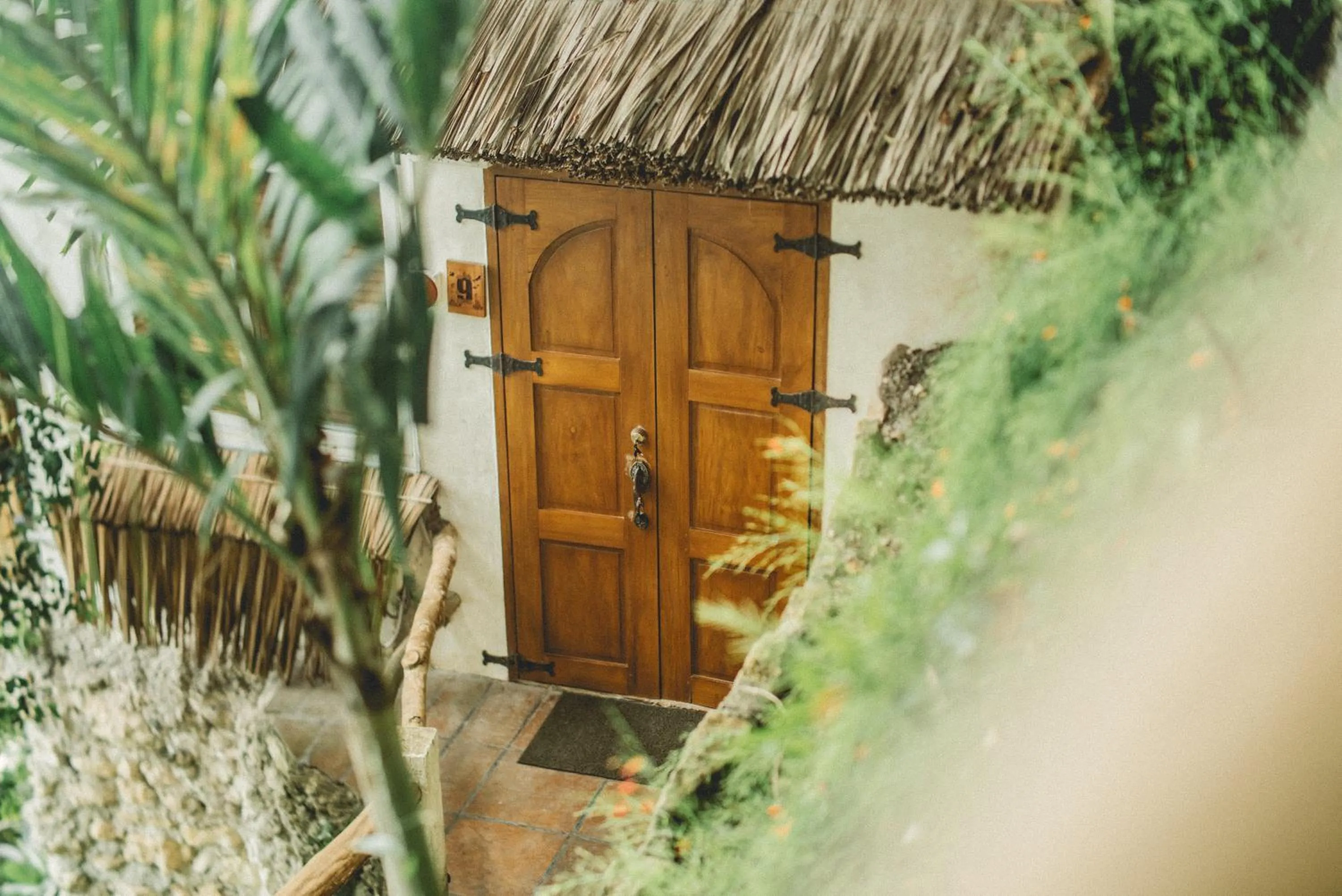 View (from property/room) in Fantasy Lodge