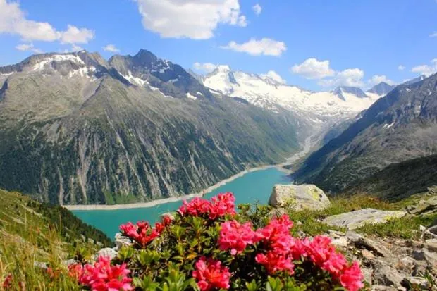 Mountain view in Hotel Schwarzer Adler