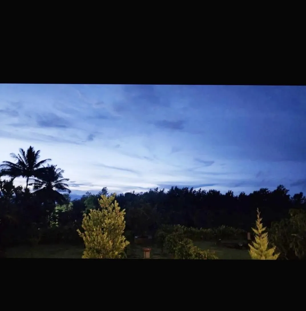 Night in Coorg Riverness Resort