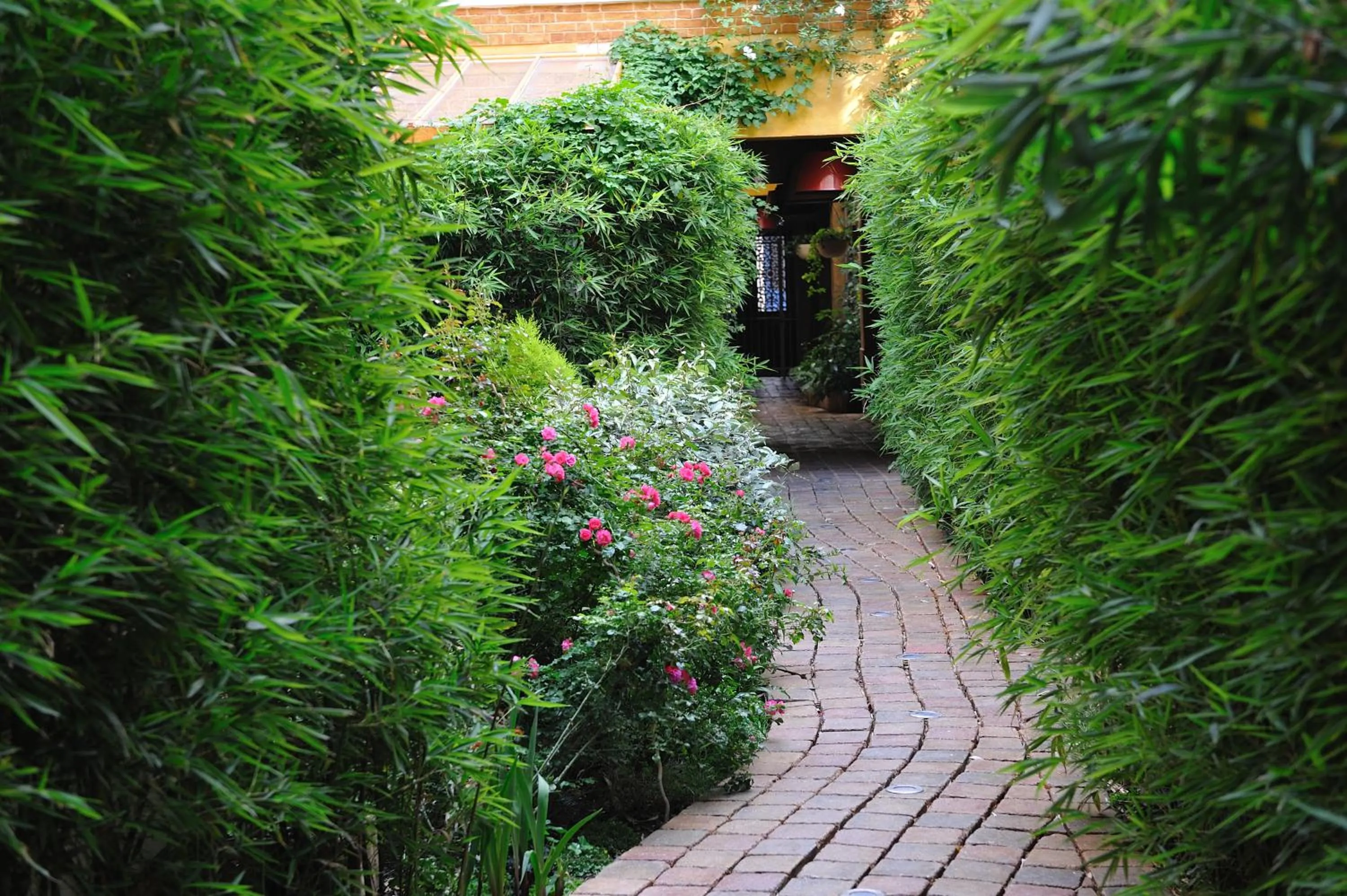 Garden in Les Patios du Marais 2