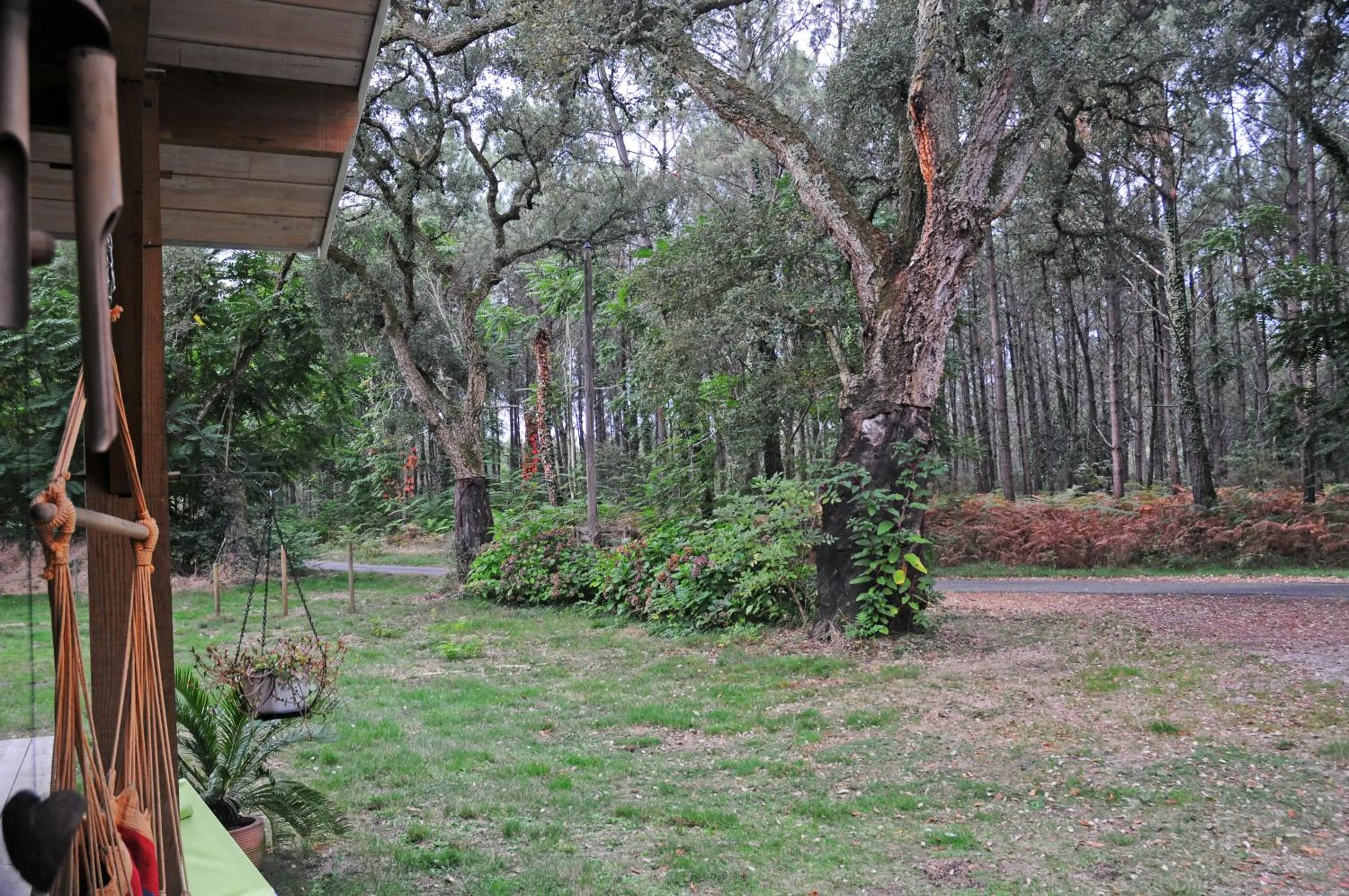 Garden in Les Hébergements Nature et Bien-être