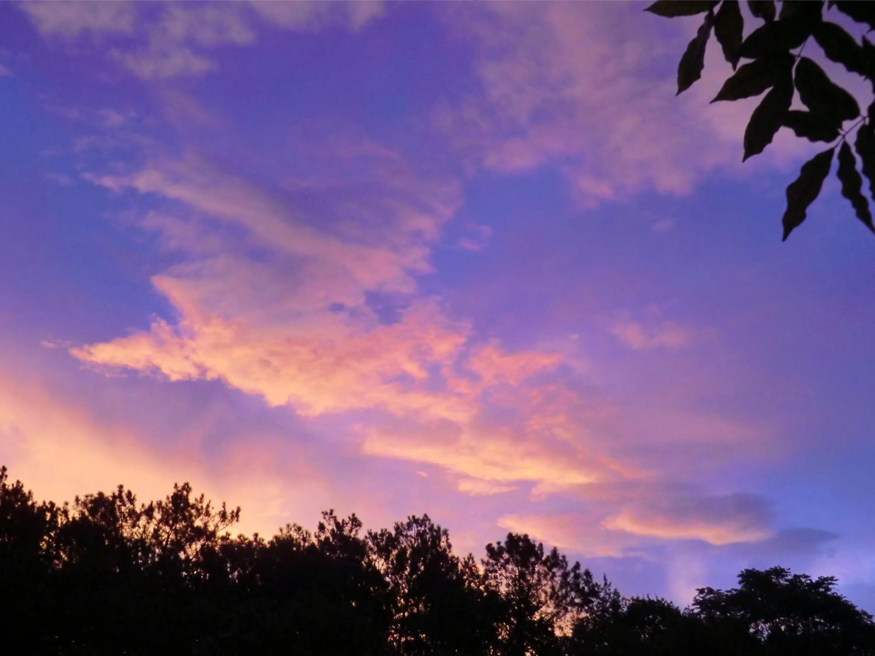Garden view in Les Hébergements Nature et Bien-être