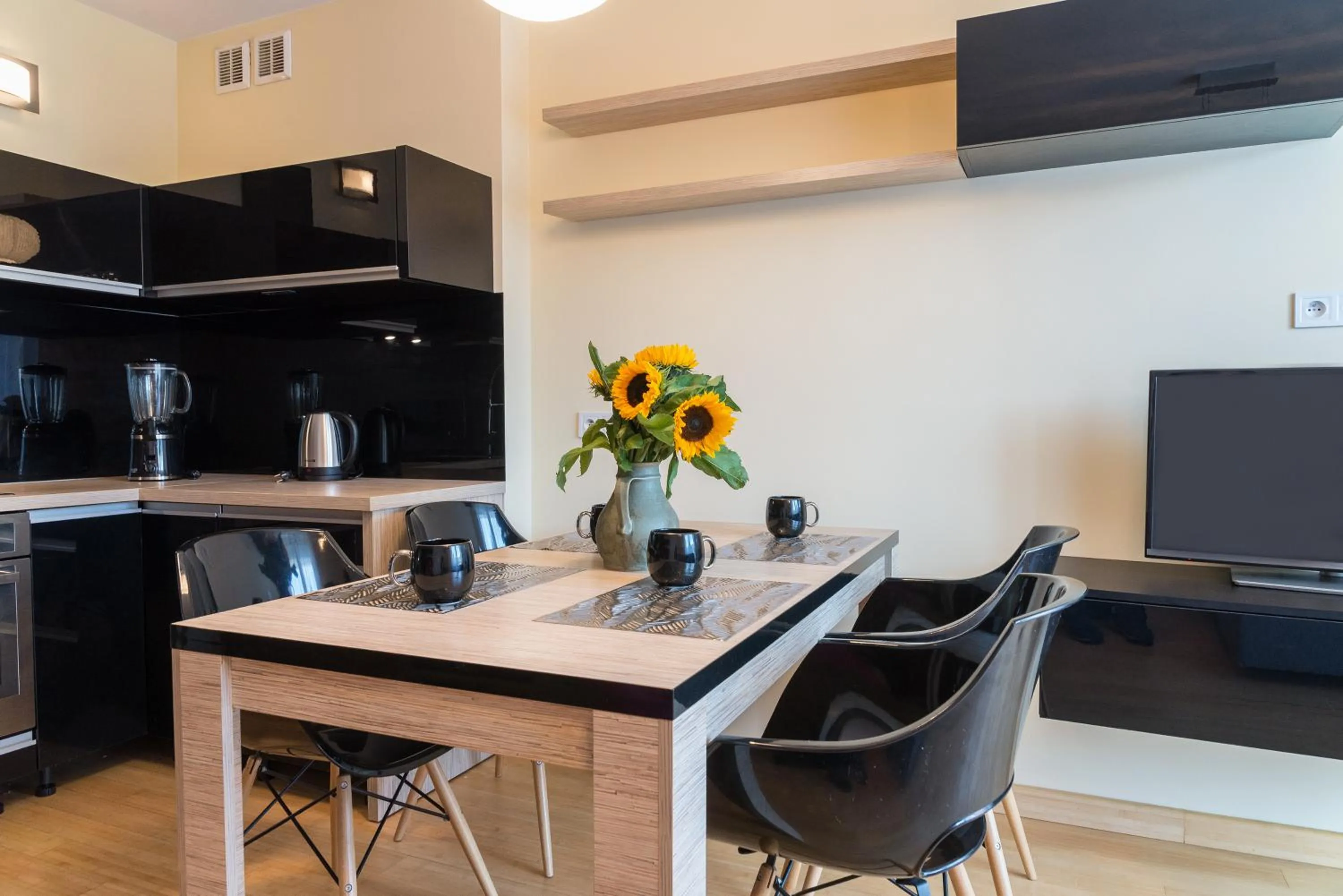 TV and multimedia in Apartament Na Urlop - Wisła Sarnia - apartament przyjazny zwierzętom