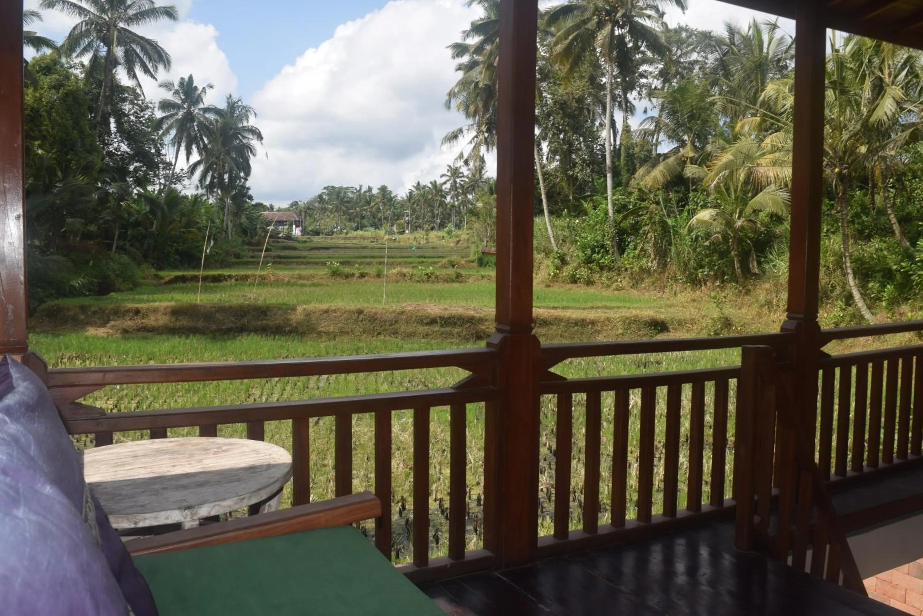 Natural landscape in Ubud Sawah Scenery Villa and Homestay