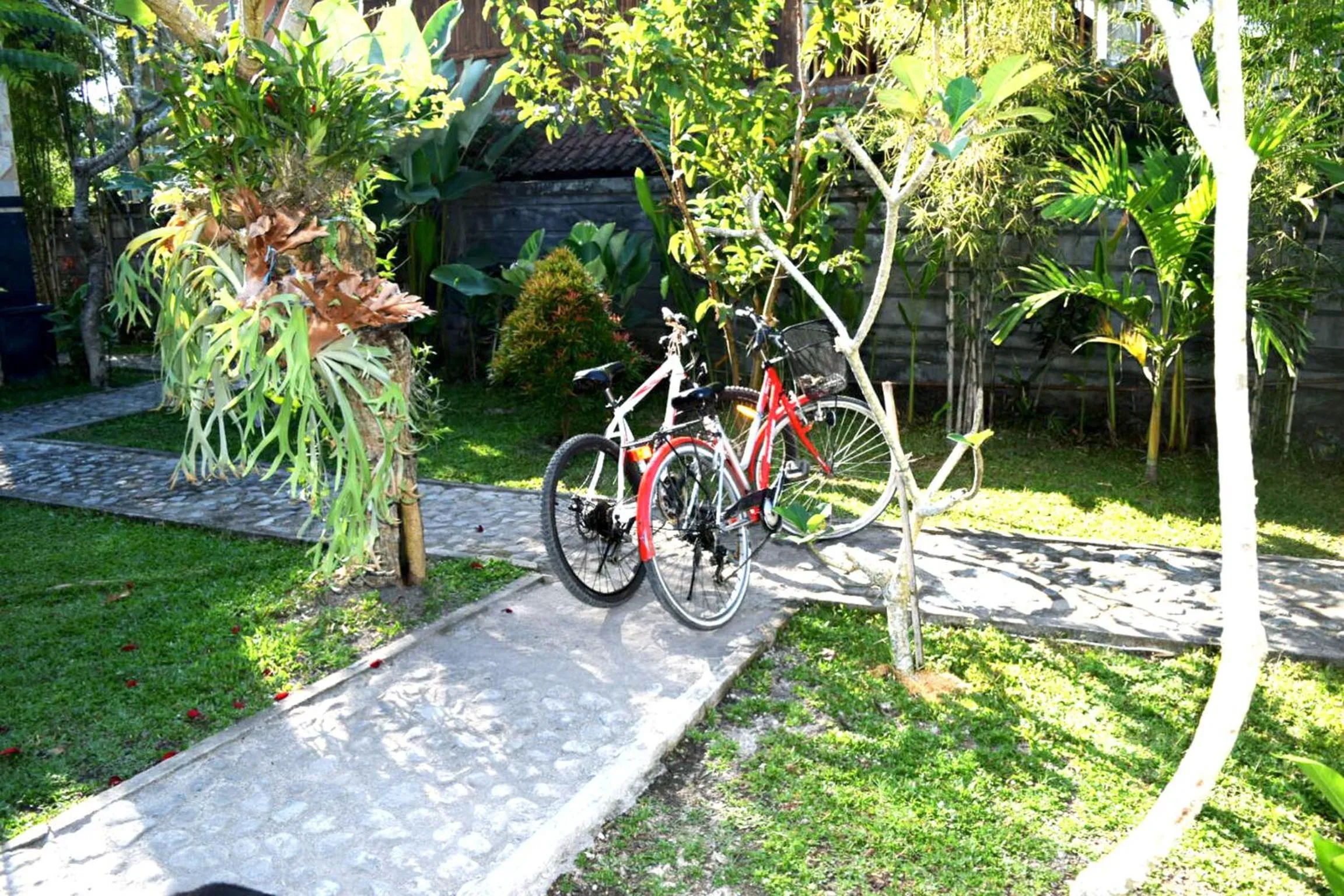 Cycling in Ubud Sawah Scenery Villa and Homestay