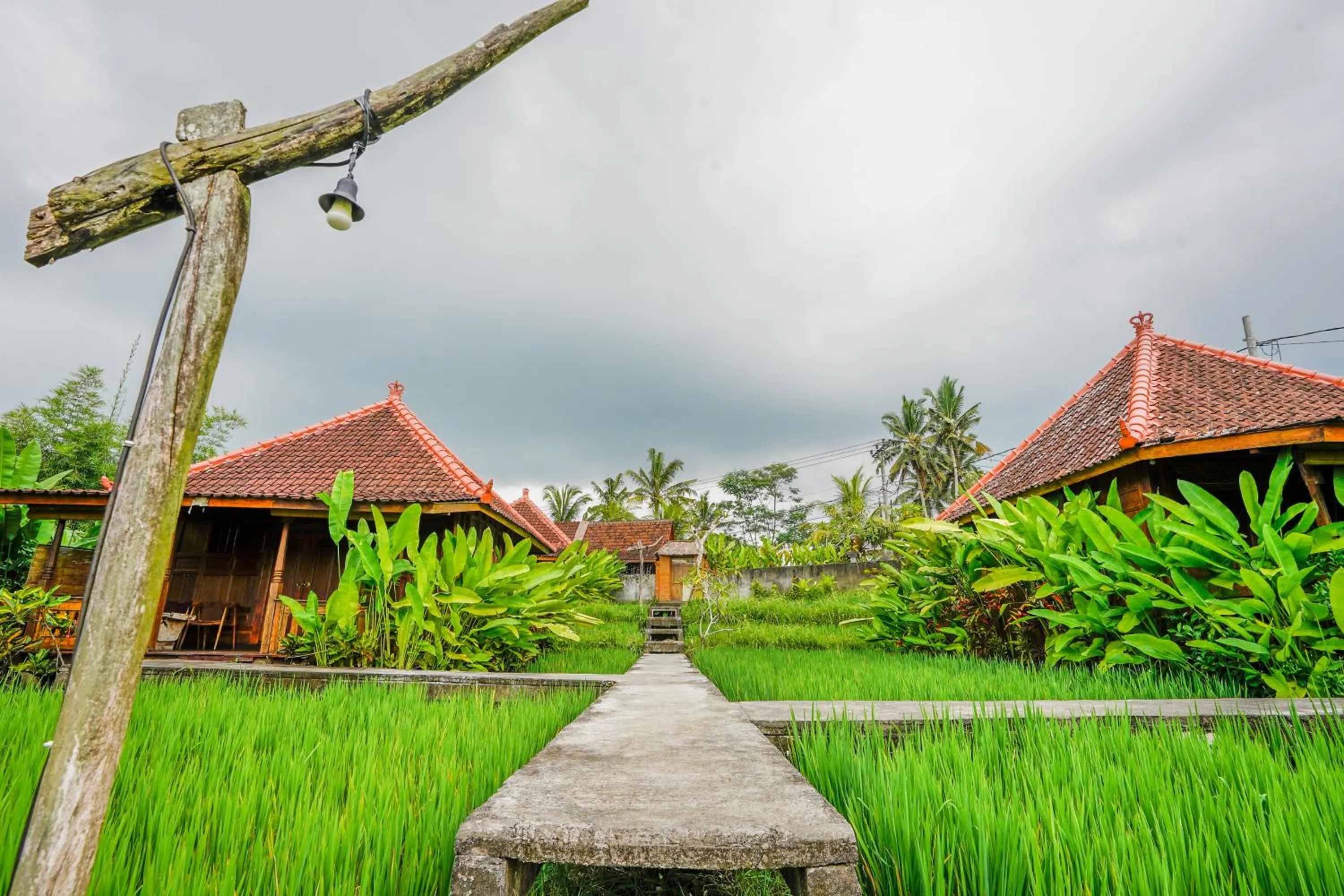 Ubud Sawah Scenery Villa and Homestay