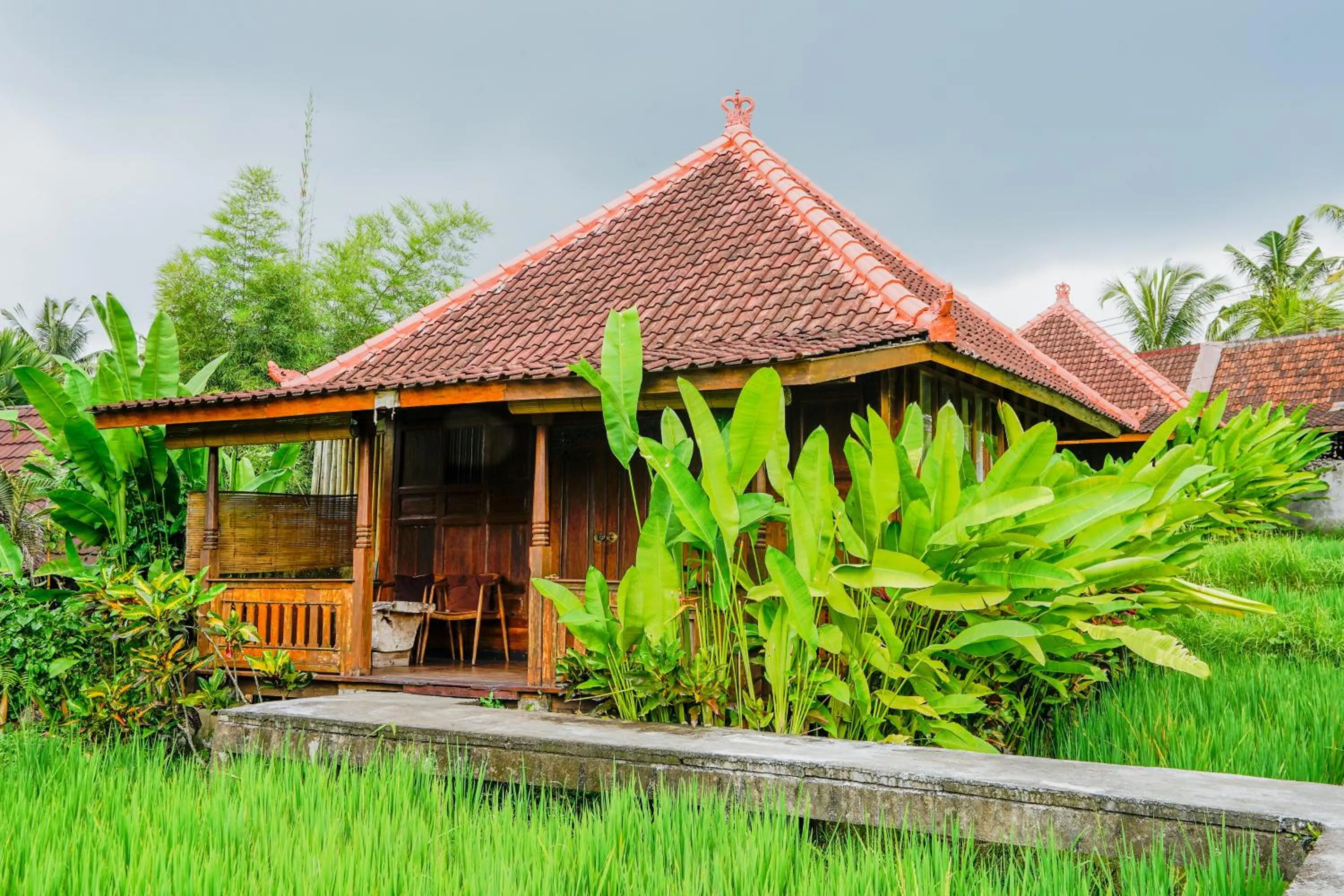 Natural landscape in Ubud Sawah Scenery Villa and Homestay