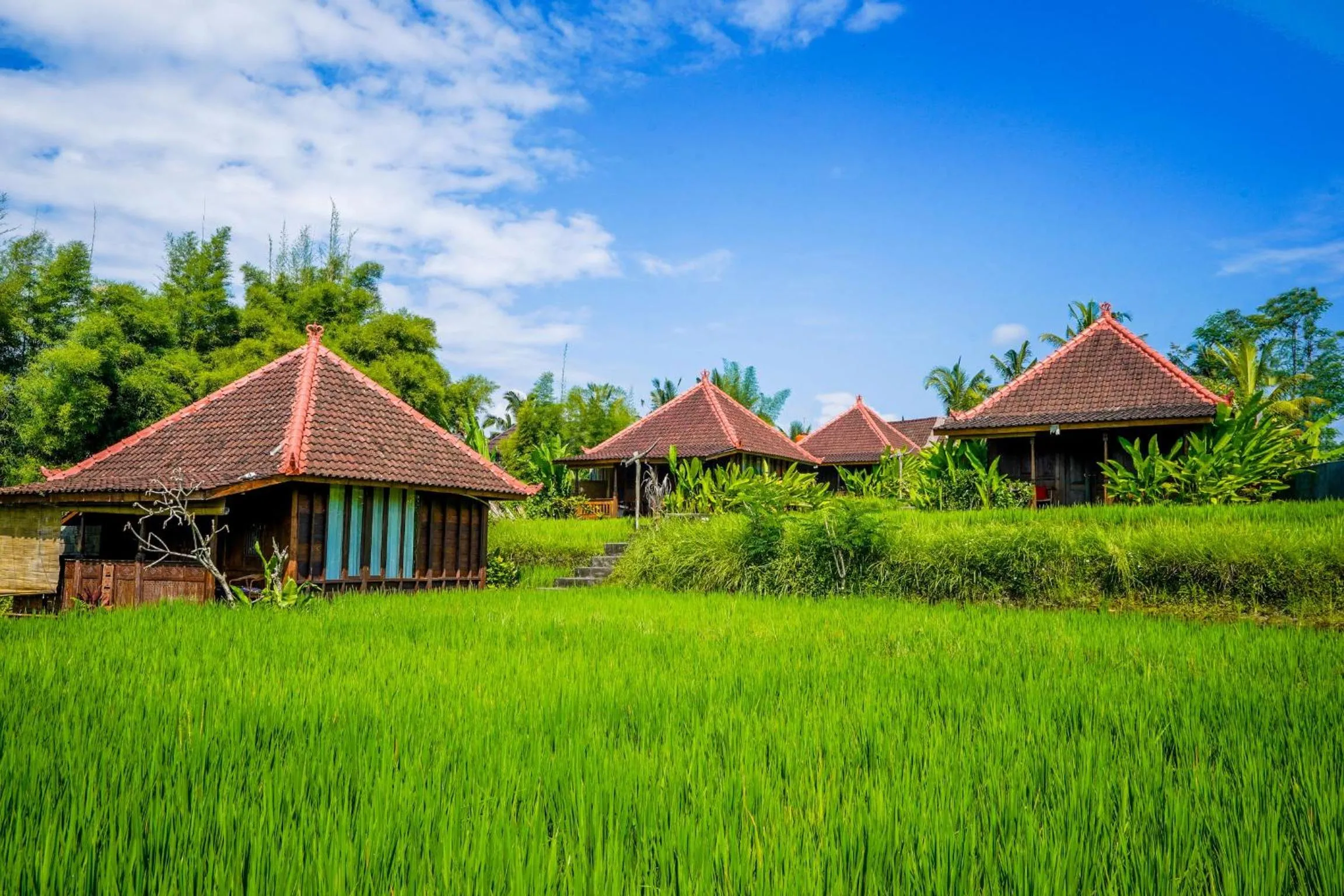 Ubud Sawah Scenery Villa and Homestay