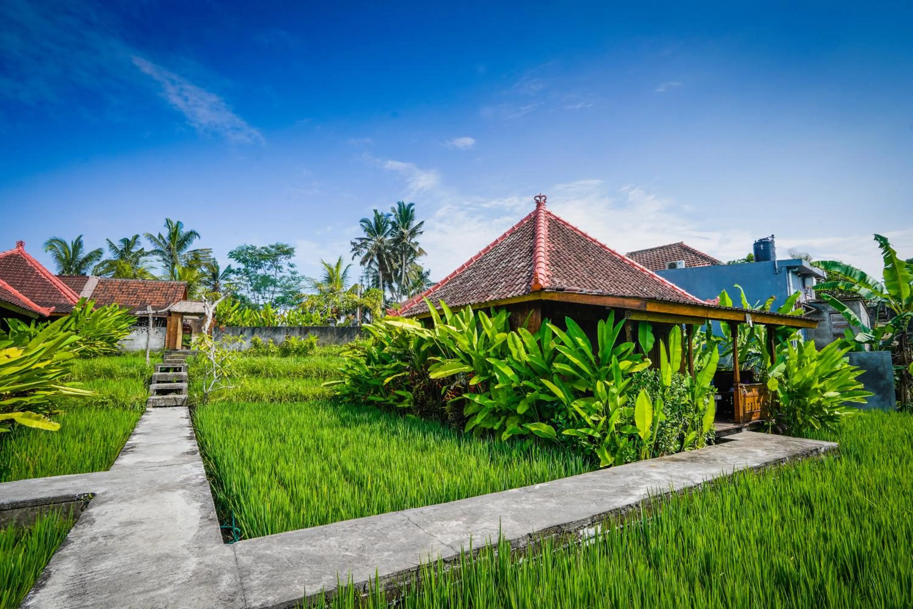 Natural landscape in Ubud Sawah Scenery Villa and Homestay