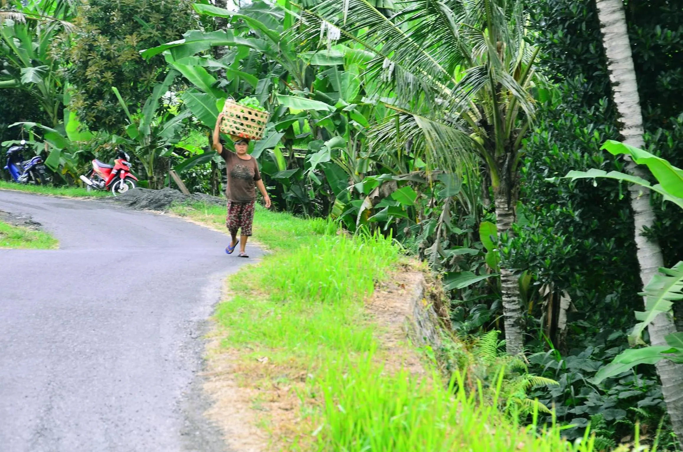 People in Ubud Sawah Scenery Villa and Homestay