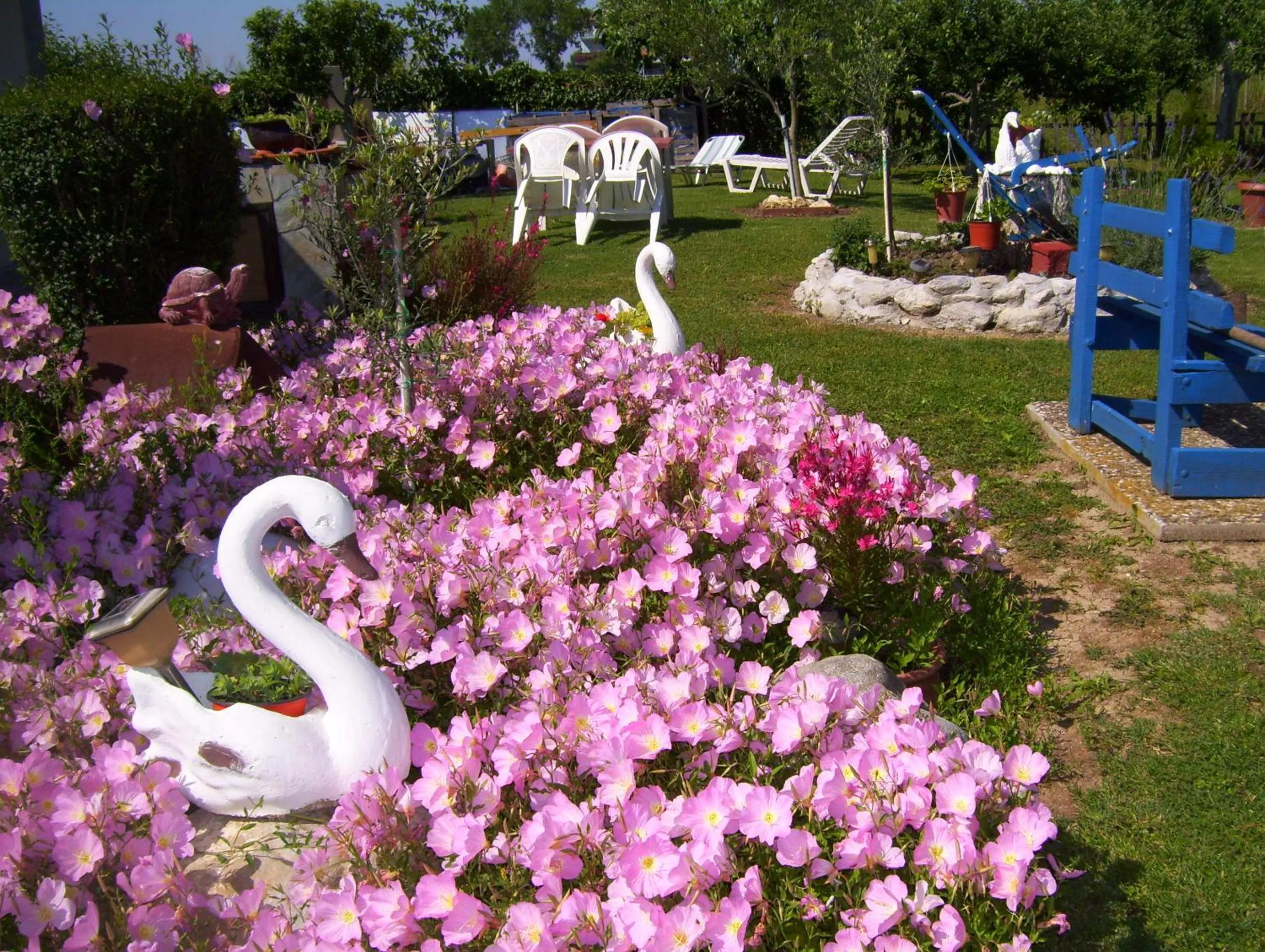 Spring in Verginia Studios