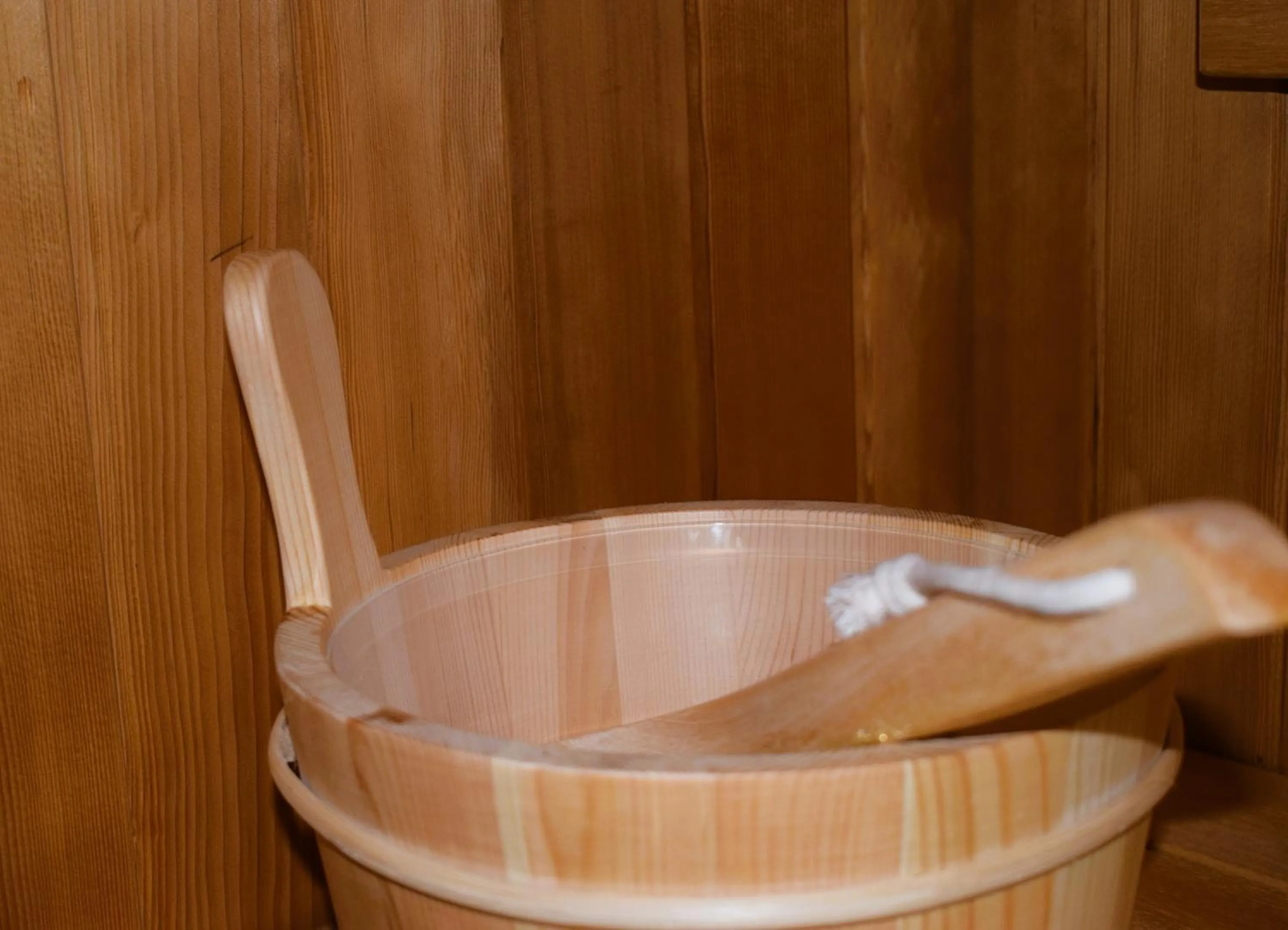 Spa and wellness centre/facilities in Albergo Canella