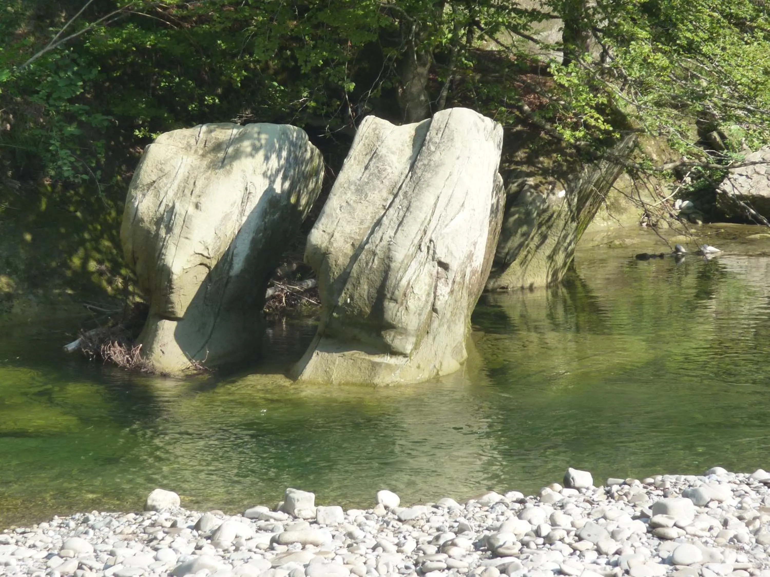 Fishing in Studio Elegant