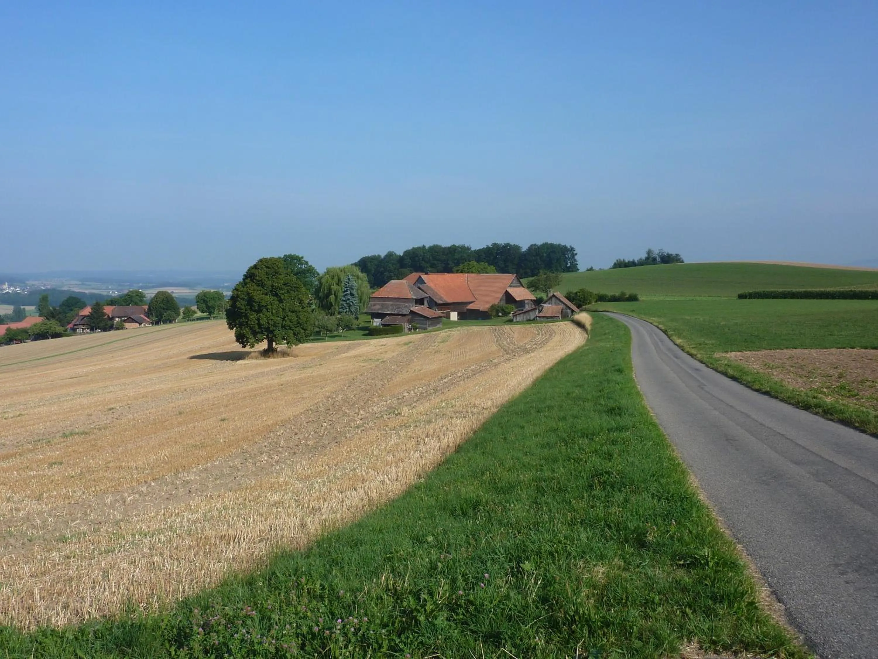 Natural landscape in Studio Elegant